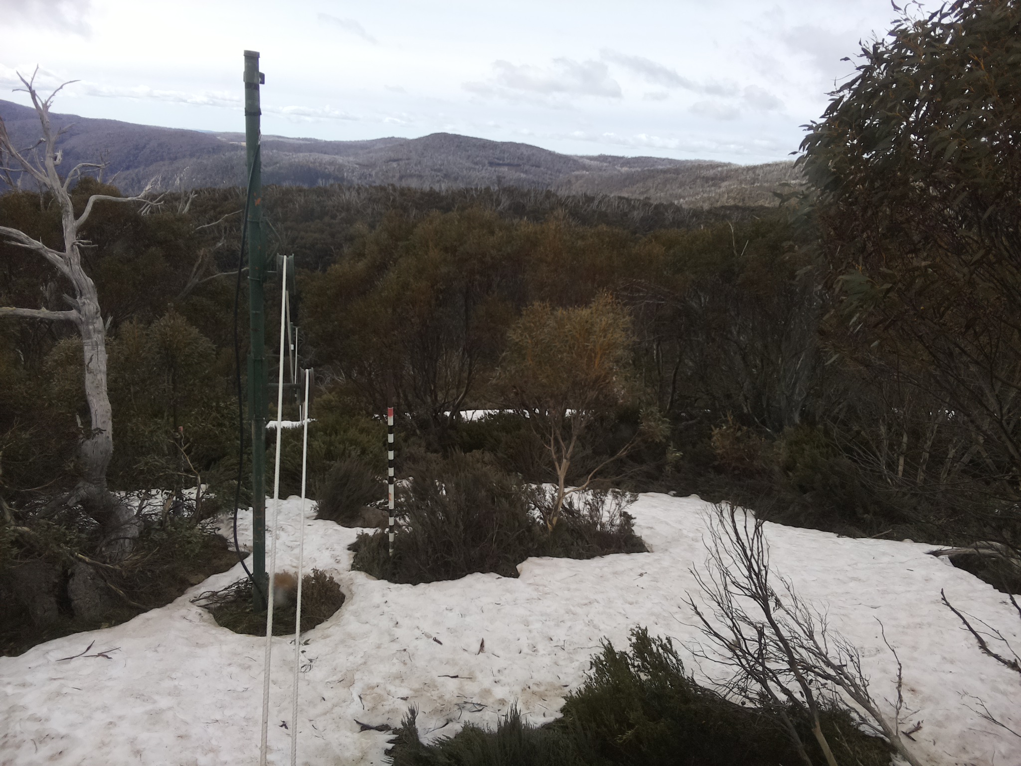 Bogong Web Cam 9:10am Sunday 12th of October 2025