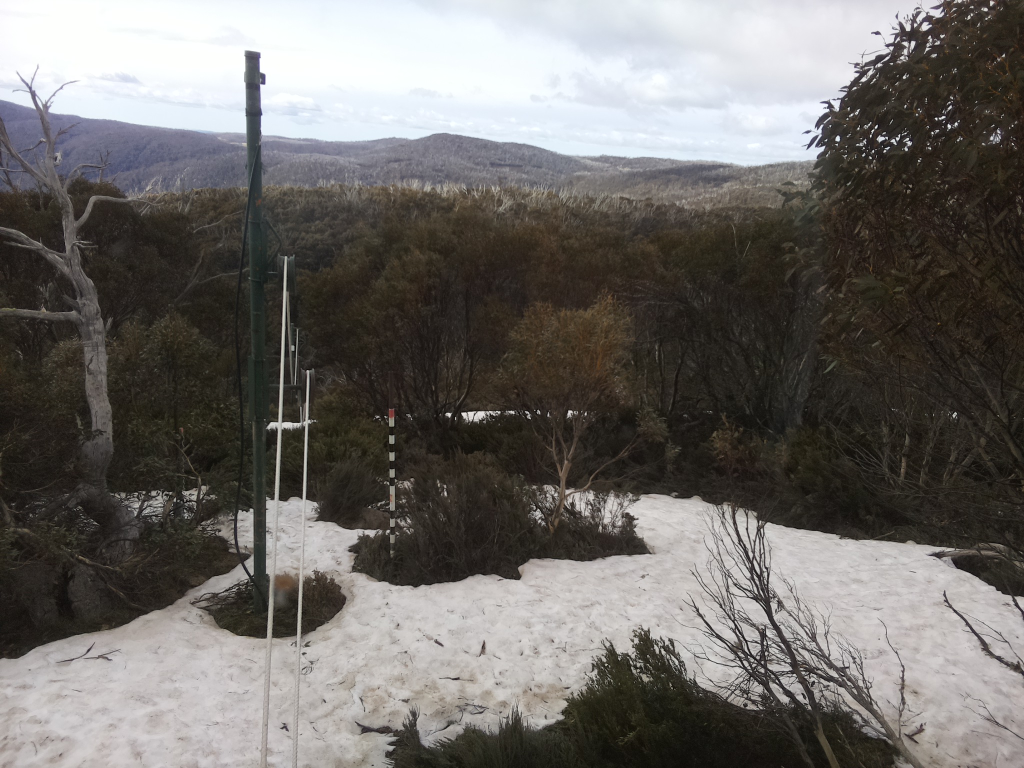 Bogong Web Cam 9:20am Sunday 12th of October 2025