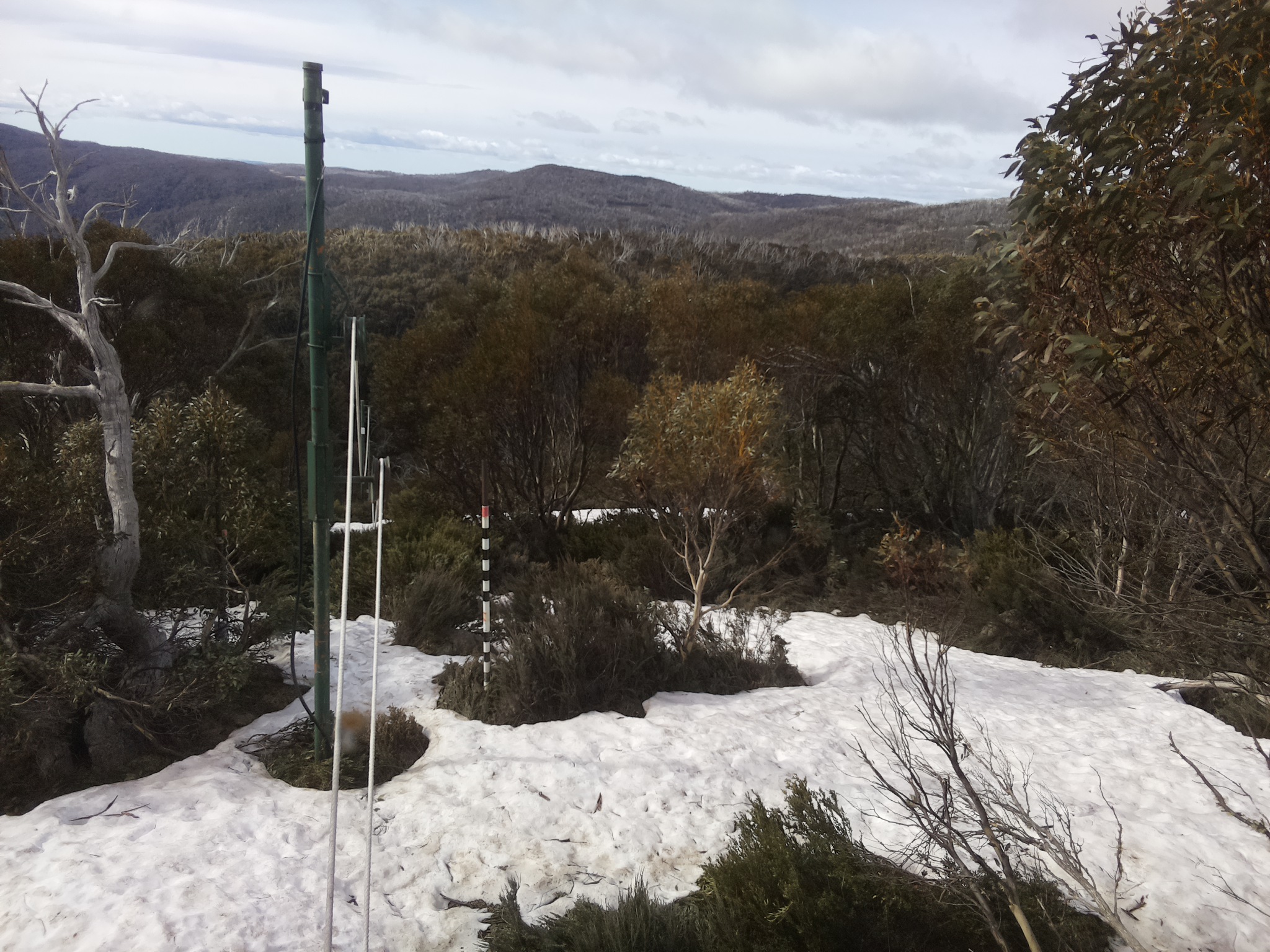 Bogong Web Cam 9:30am Sunday 12th of October 2025
