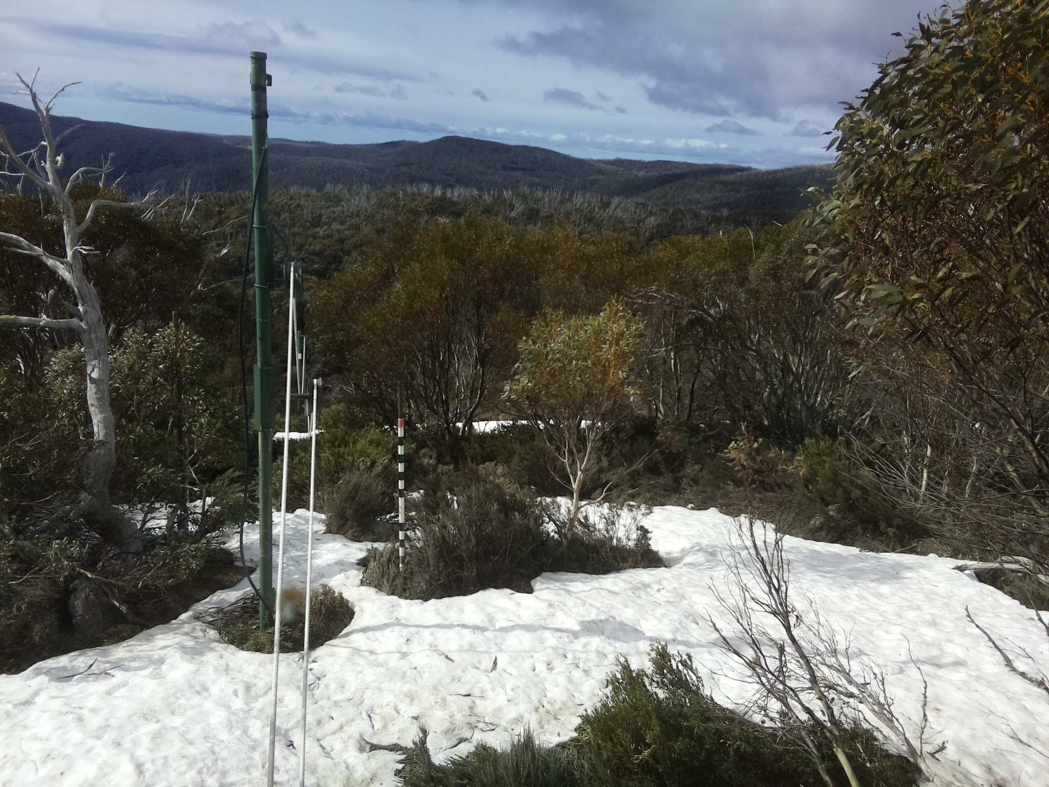 Bogong Web Cam 9:40am Sunday 12th of October 2025