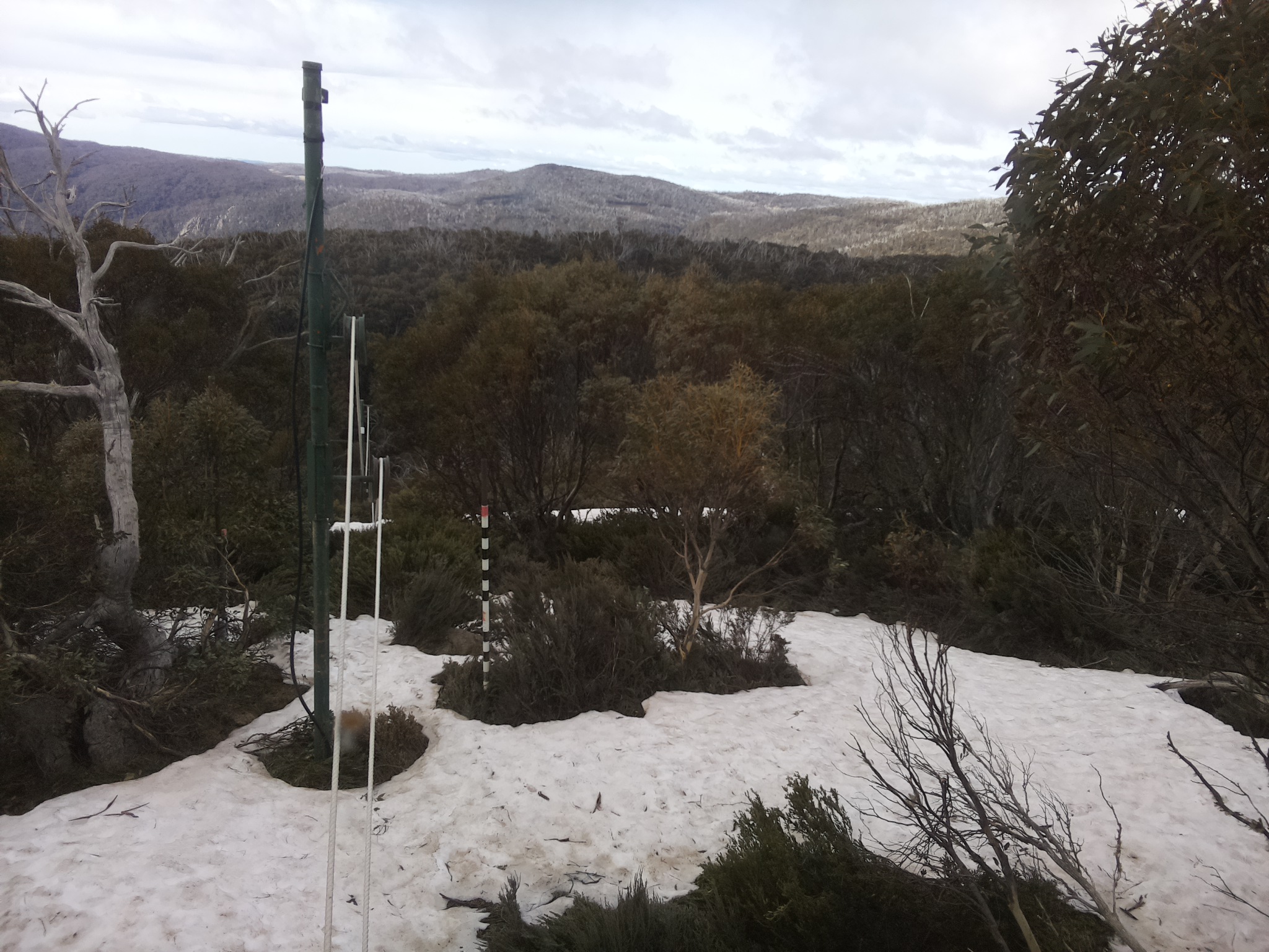 Bogong Web Cam 9:50am Sunday 12th of October 2025