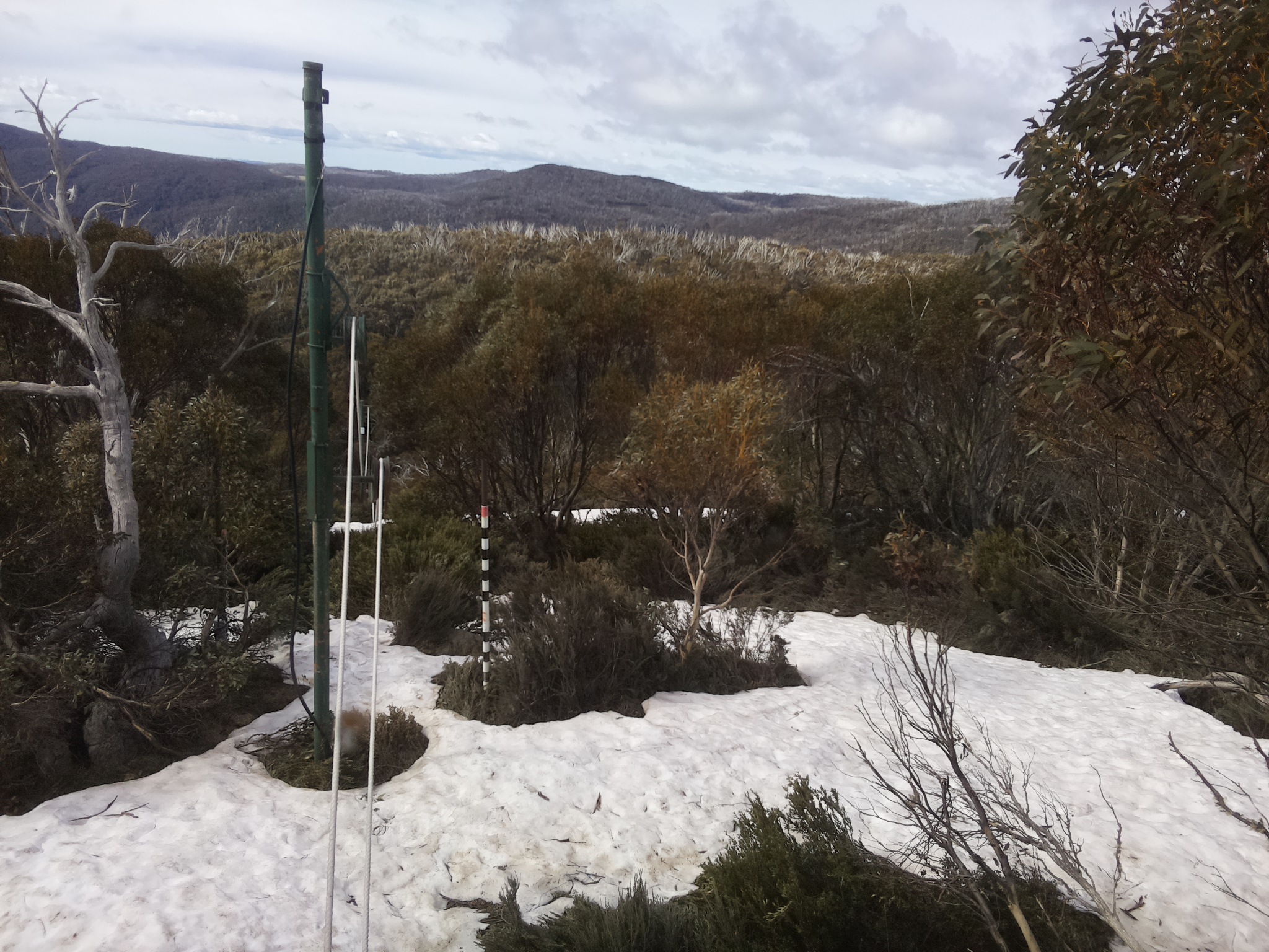 Bogong Web Cam 10:00am Sunday 12th of October 2025