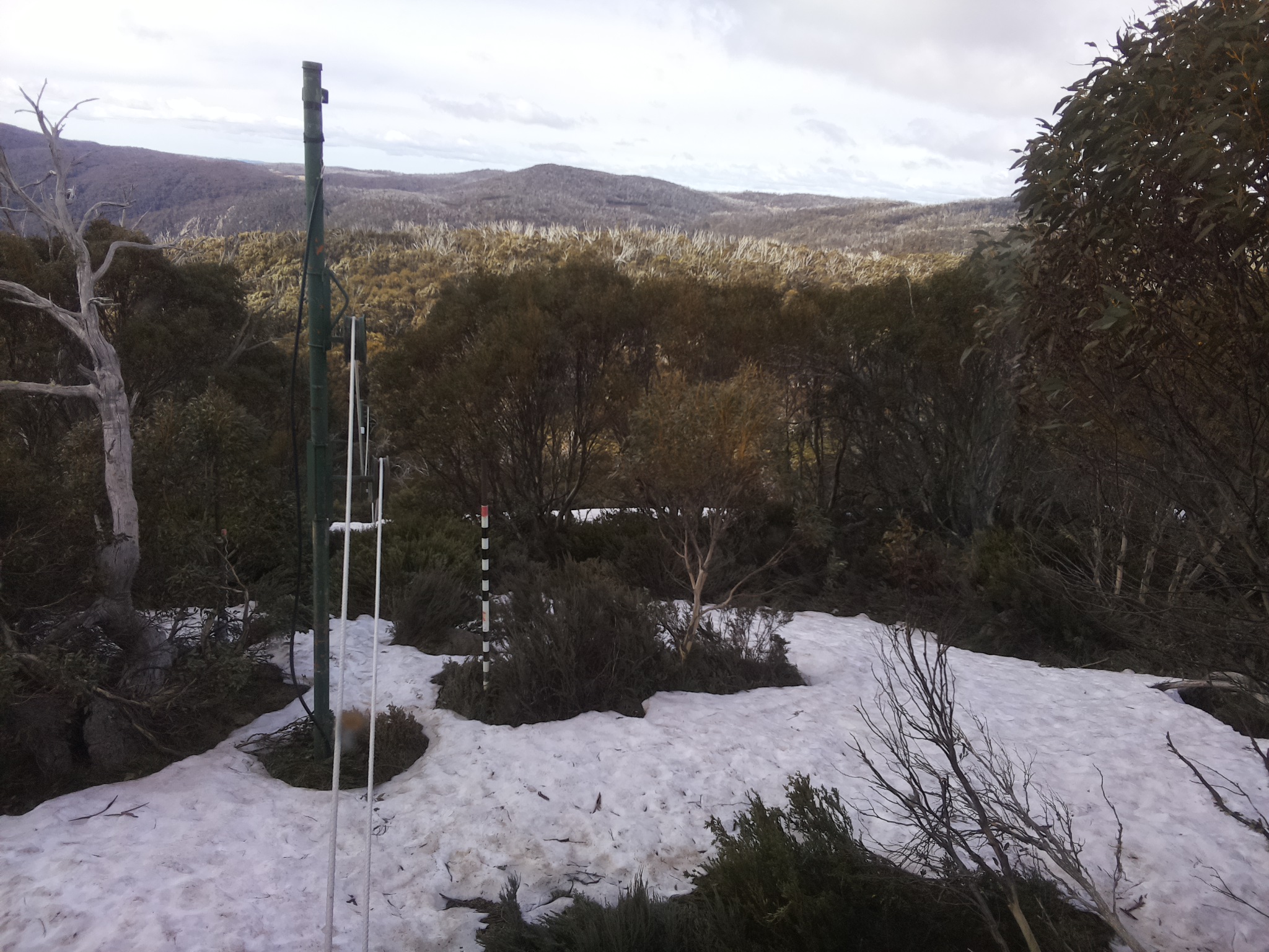 Bogong Web Cam 10:10am Sunday 12th of October 2025