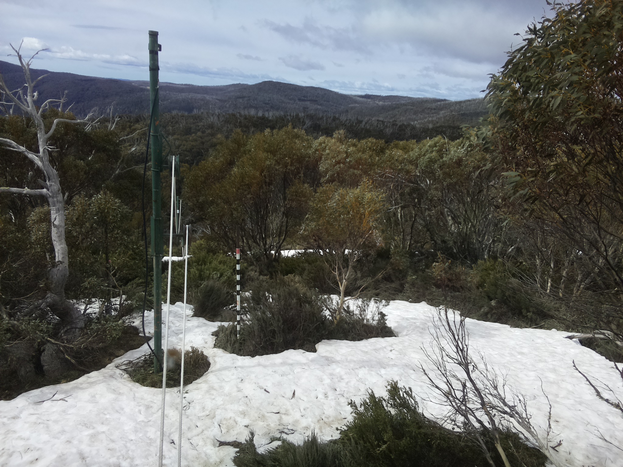 Bogong Web Cam 10:20am Sunday 12th of October 2025