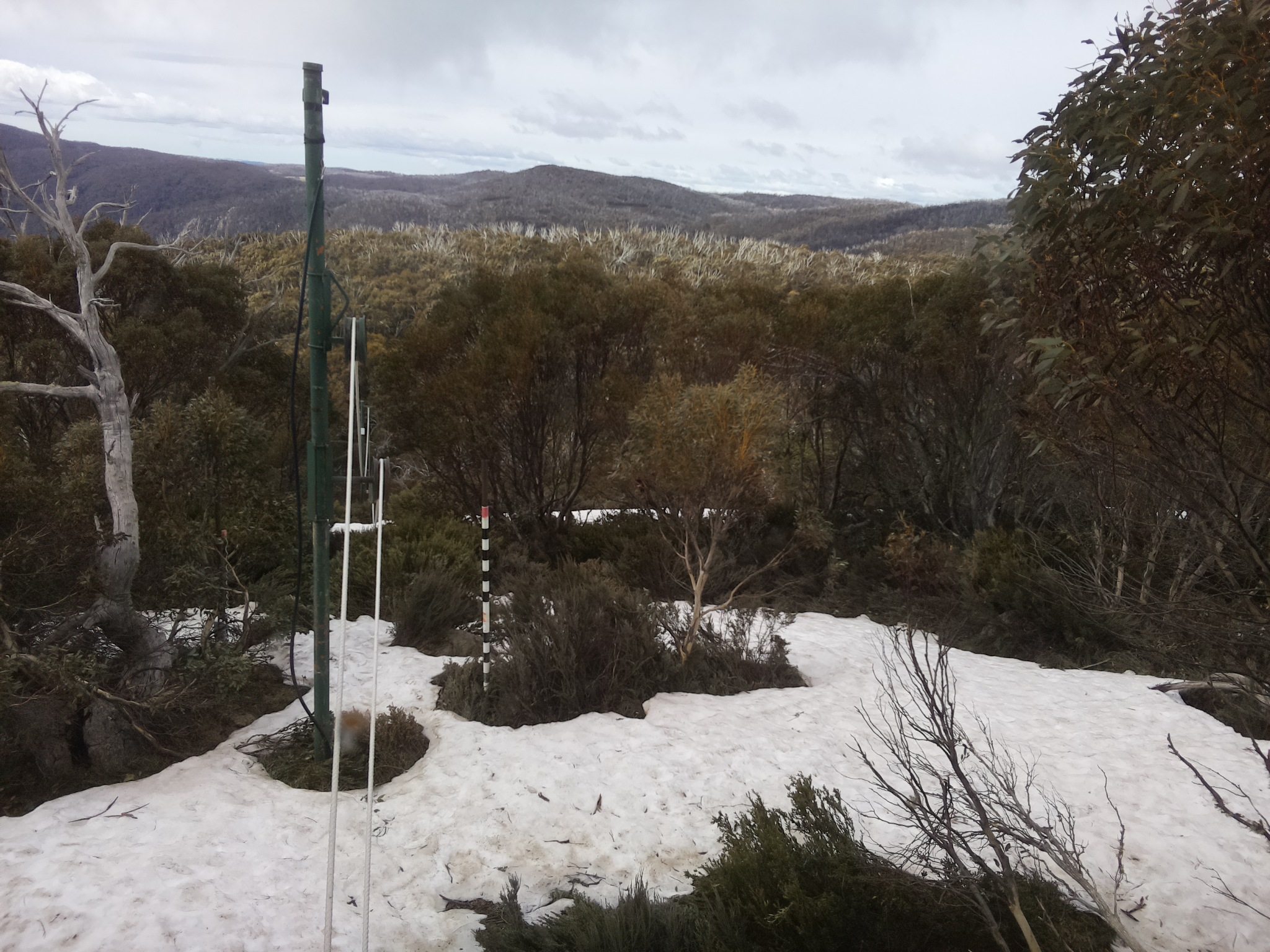 Bogong Web Cam 10:30am Sunday 12th of October 2025