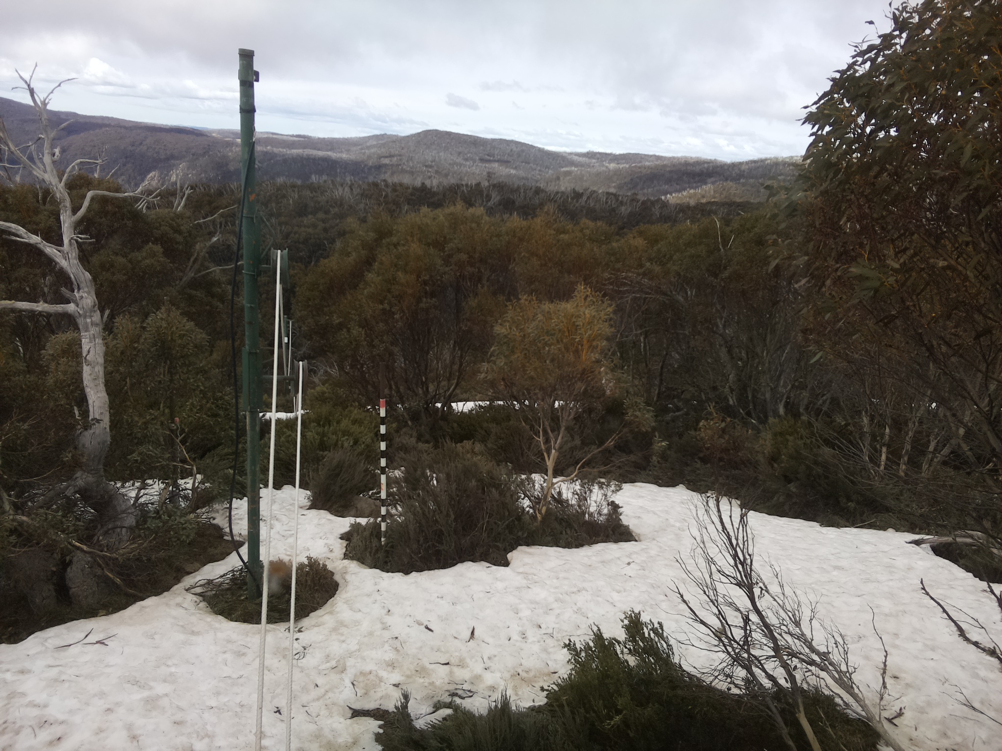 Bogong Web Cam 10:40am Sunday 12th of October 2025