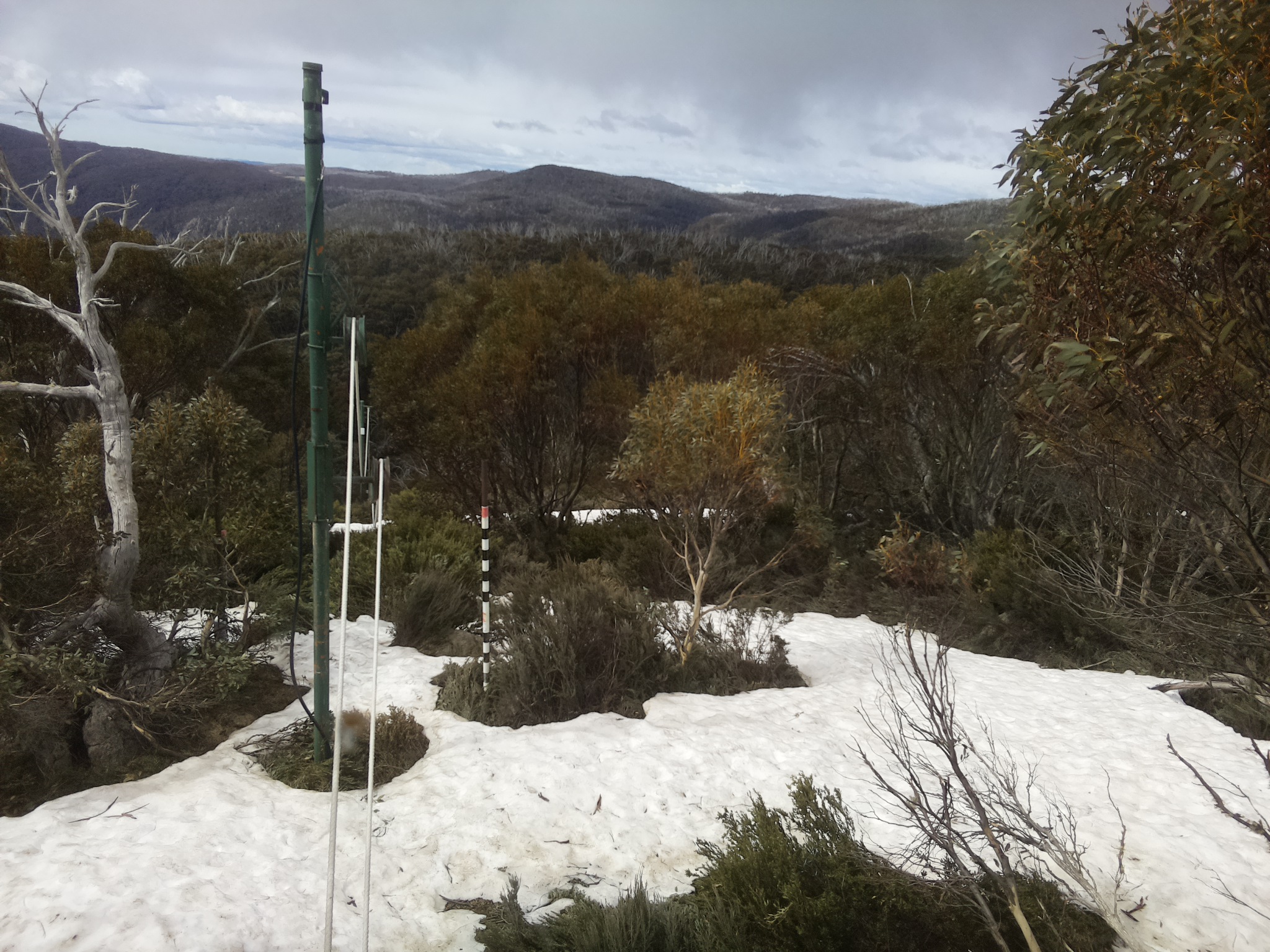 Bogong Web Cam 10:50am Sunday 12th of October 2025
