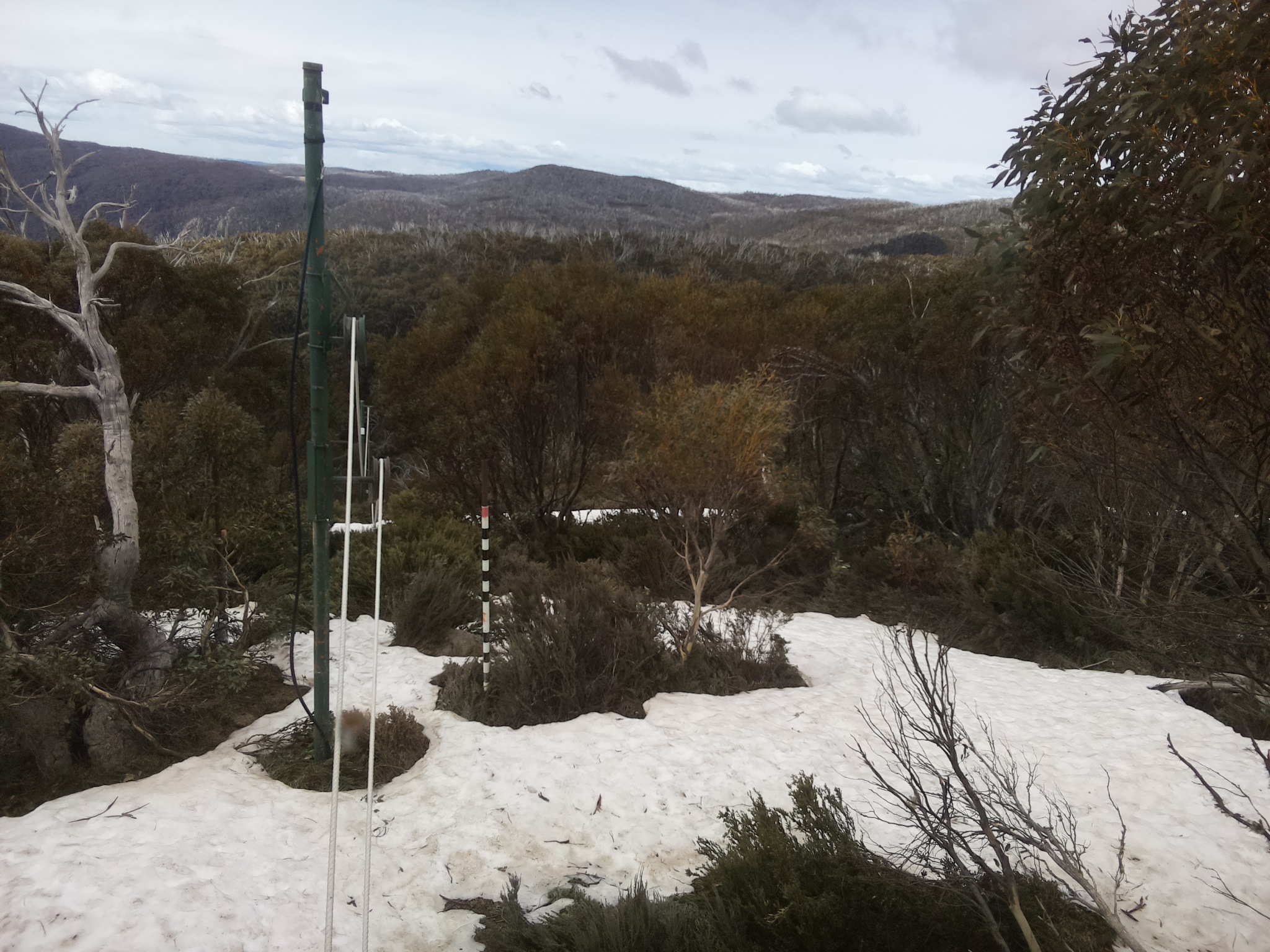 Bogong Web Cam 11:00am Sunday 12th of October 2025