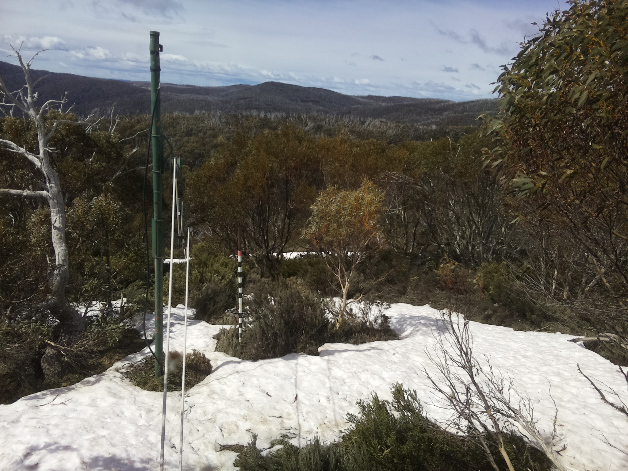 Bogong Web Cam 11:10am Sunday 12th of October 2025