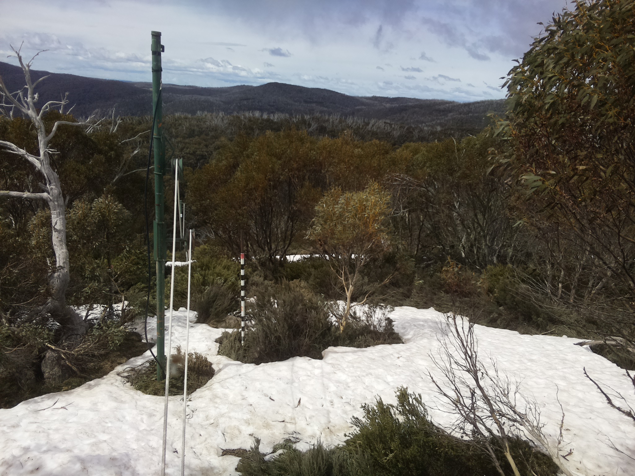 Bogong Web Cam 11:20am Sunday 12th of October 2025