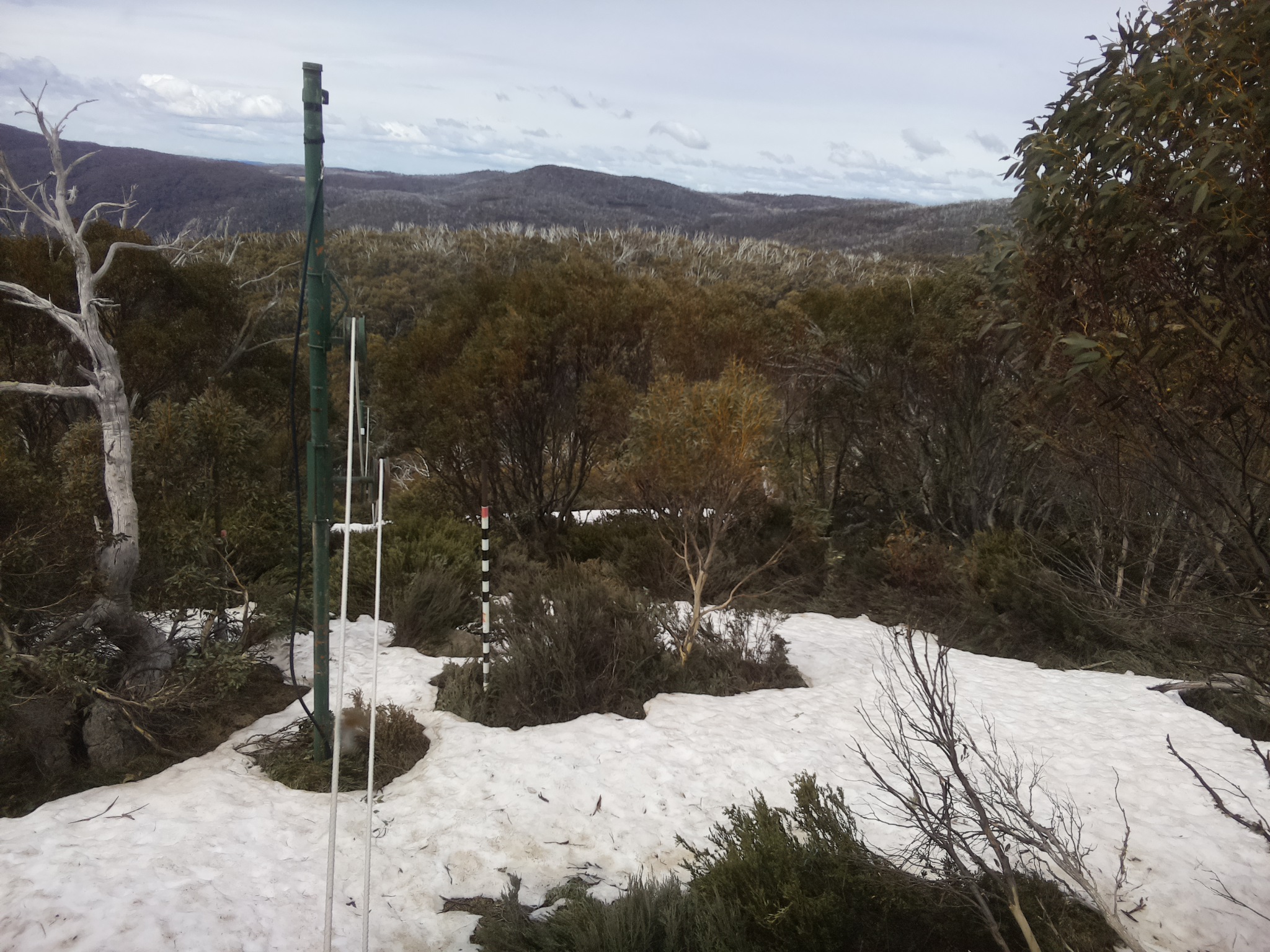 Bogong Web Cam 11:30am Sunday 12th of October 2025