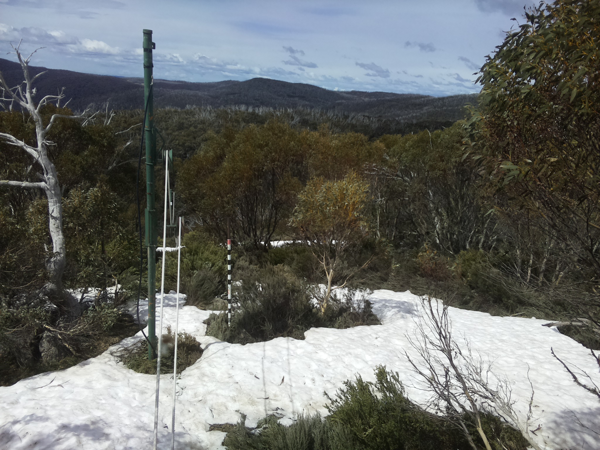 Bogong Web Cam 11:40am Sunday 12th of October 2025