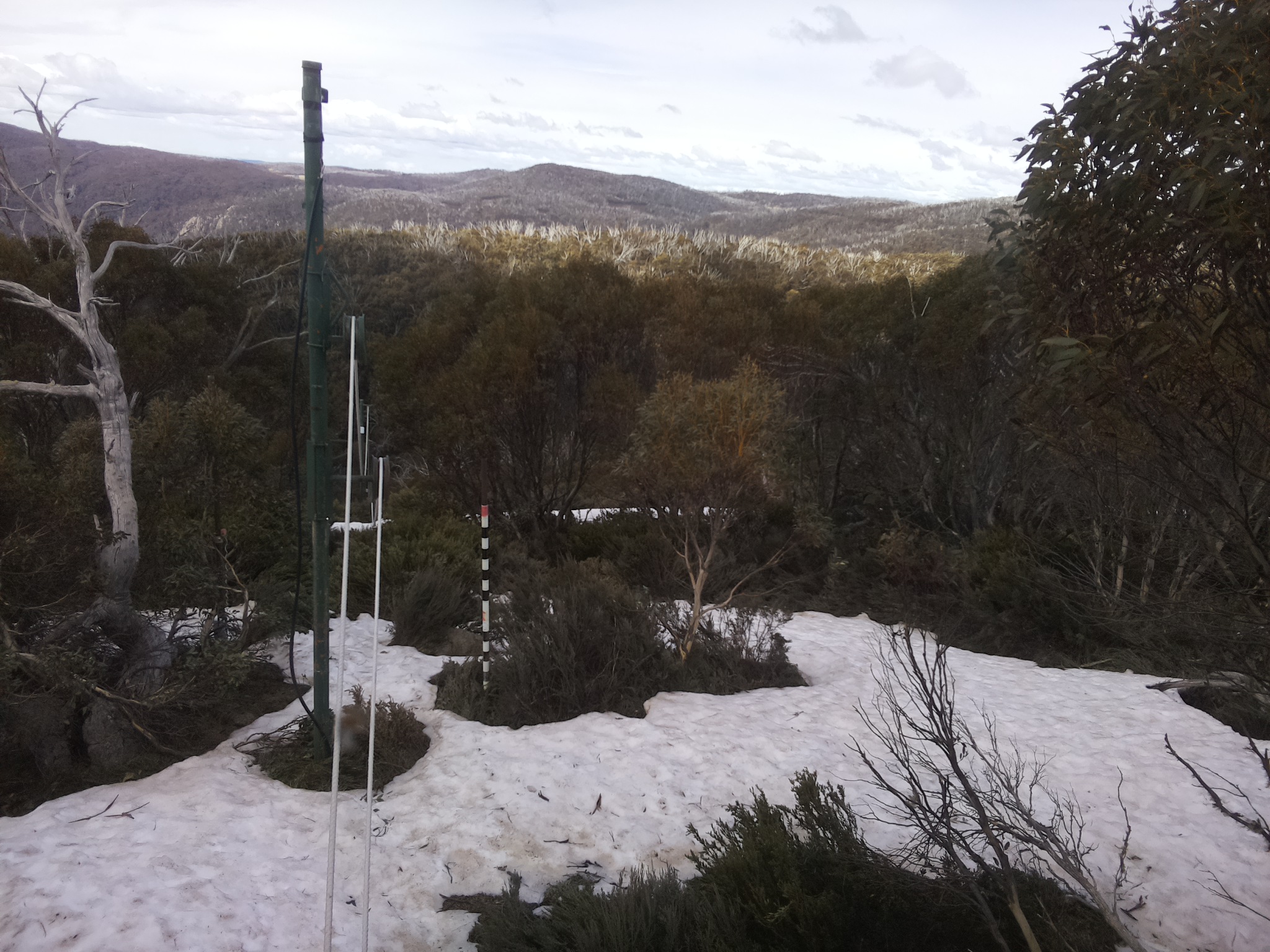 Bogong Web Cam 11:50am Sunday 12th of October 2025