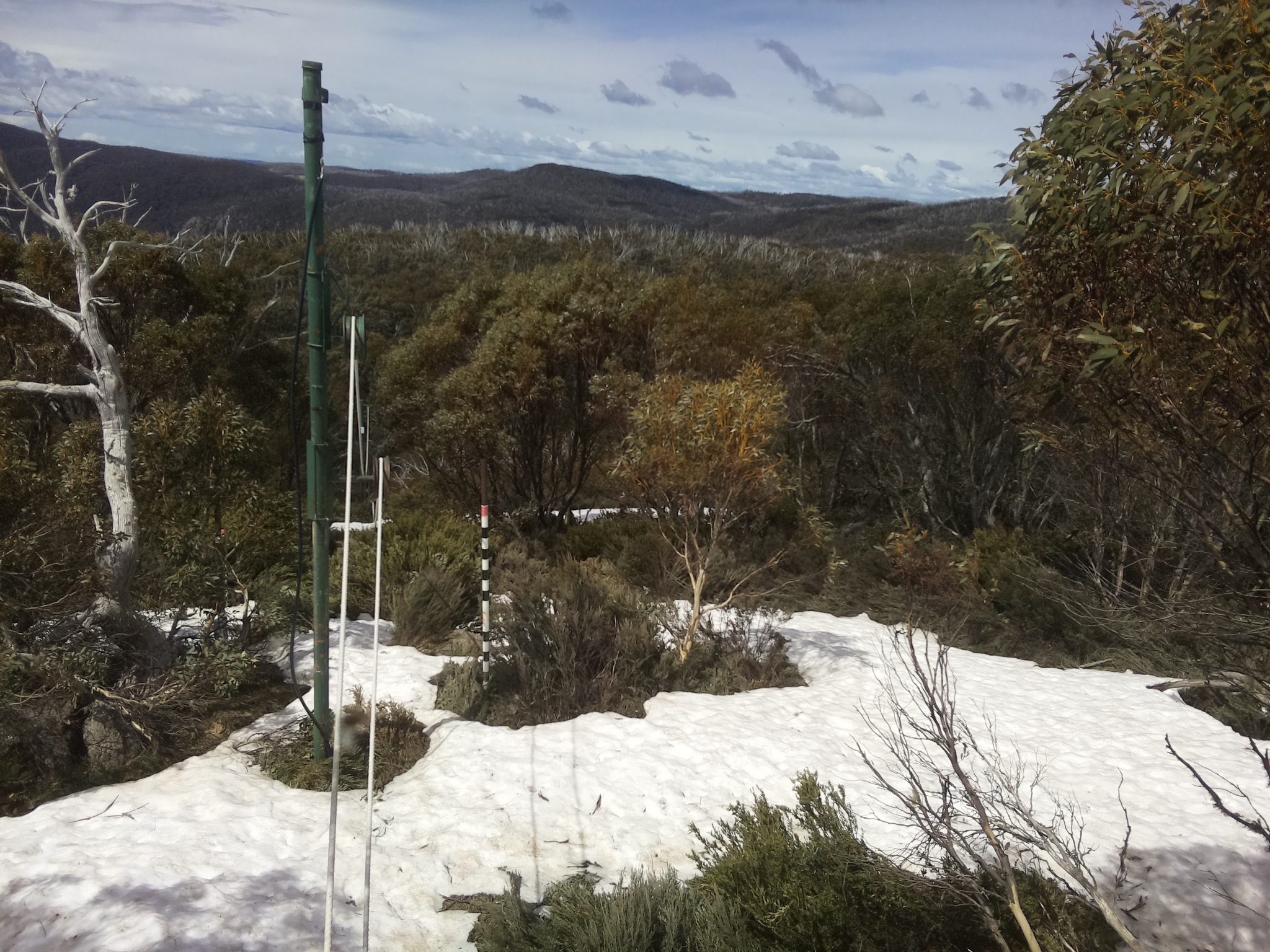 Bogong Web Cam 12:00pm Sunday 12th of October 2025