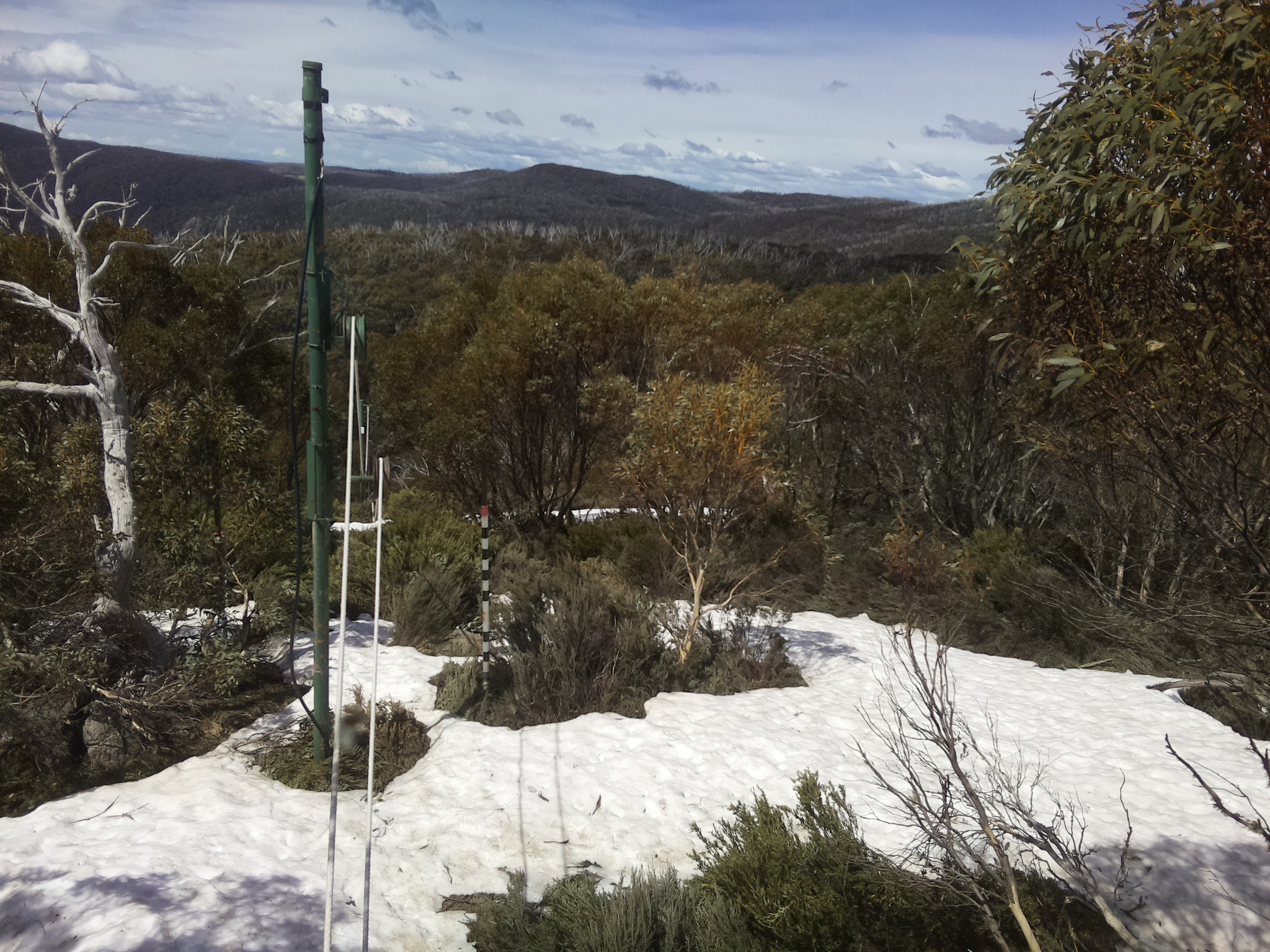 Bogong Web Cam 12:10pm Sunday 12th of October 2025