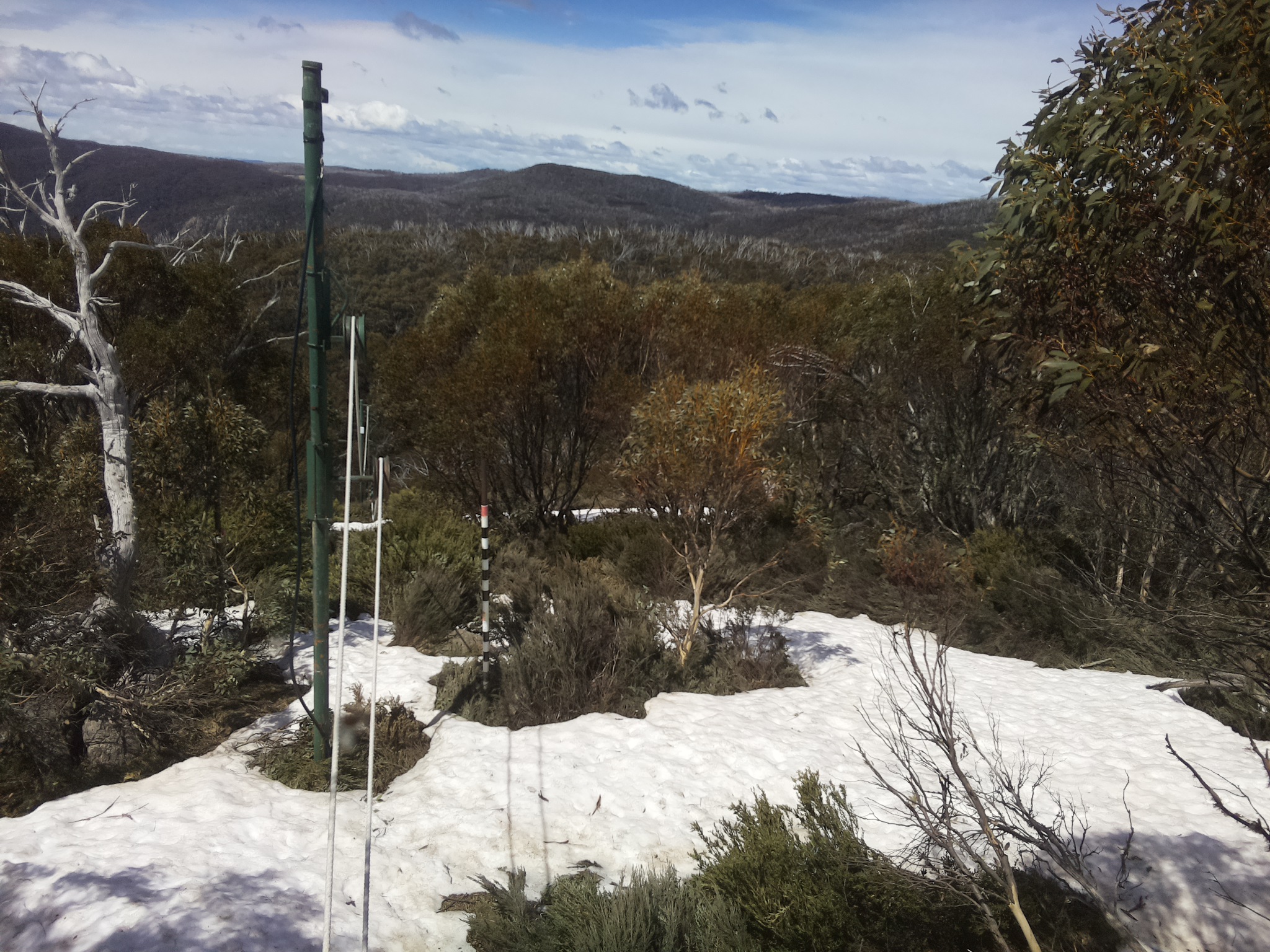 Bogong Web Cam 12:20pm Sunday 12th of October 2025