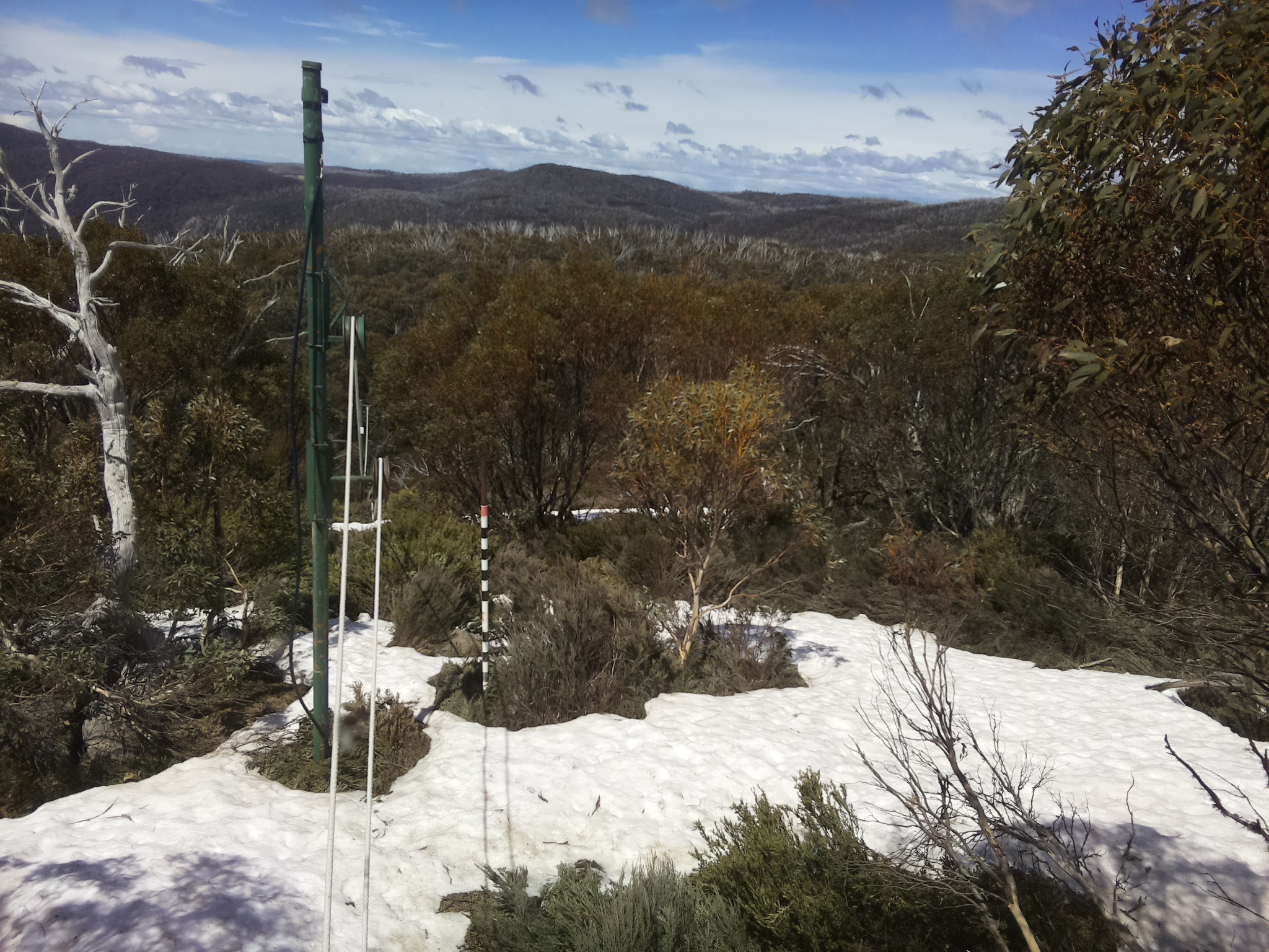 Bogong Web Cam 12:40pm Sunday 12th of October 2025