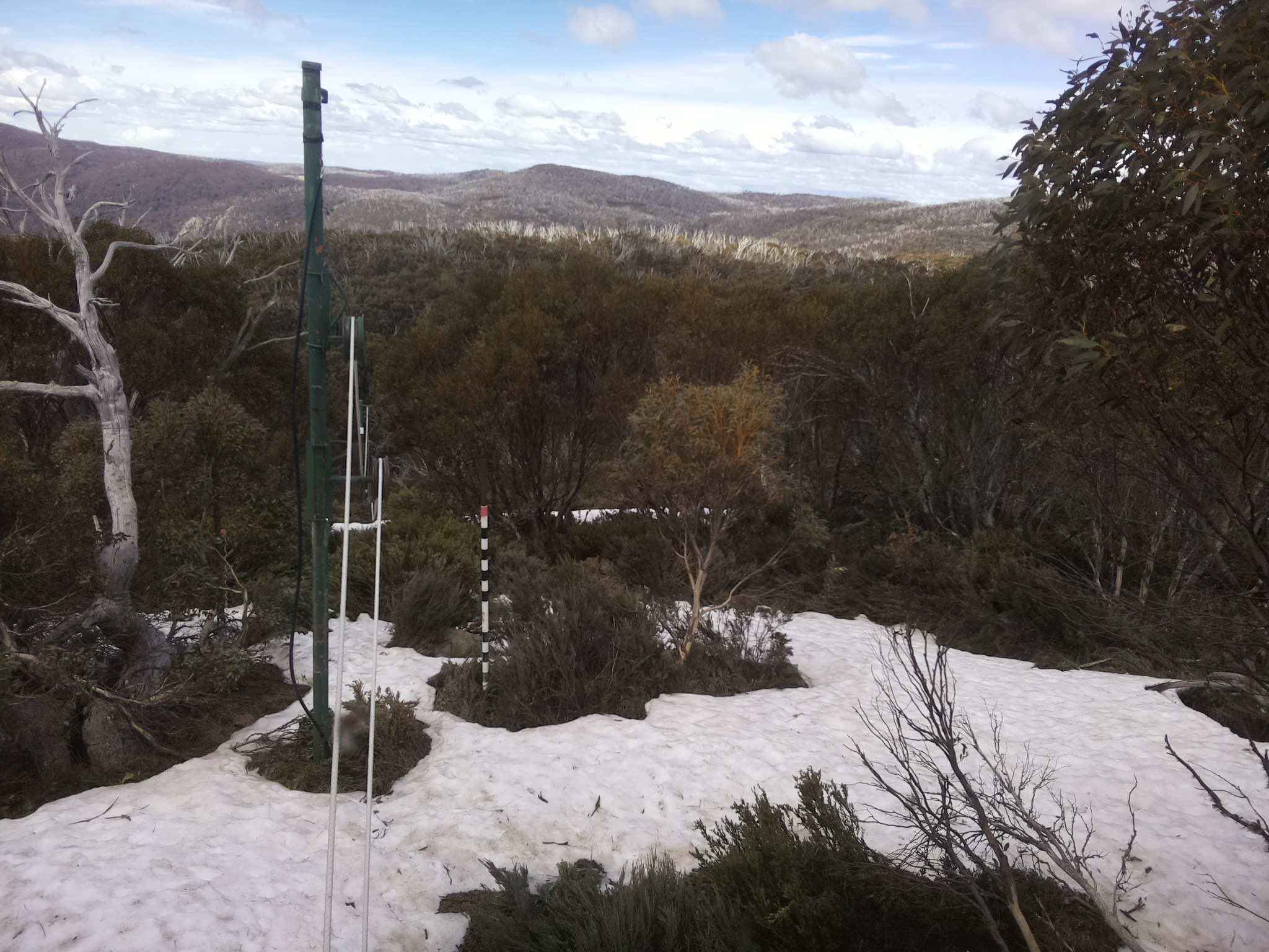 Bogong Web Cam 12:50pm Sunday 12th of October 2025