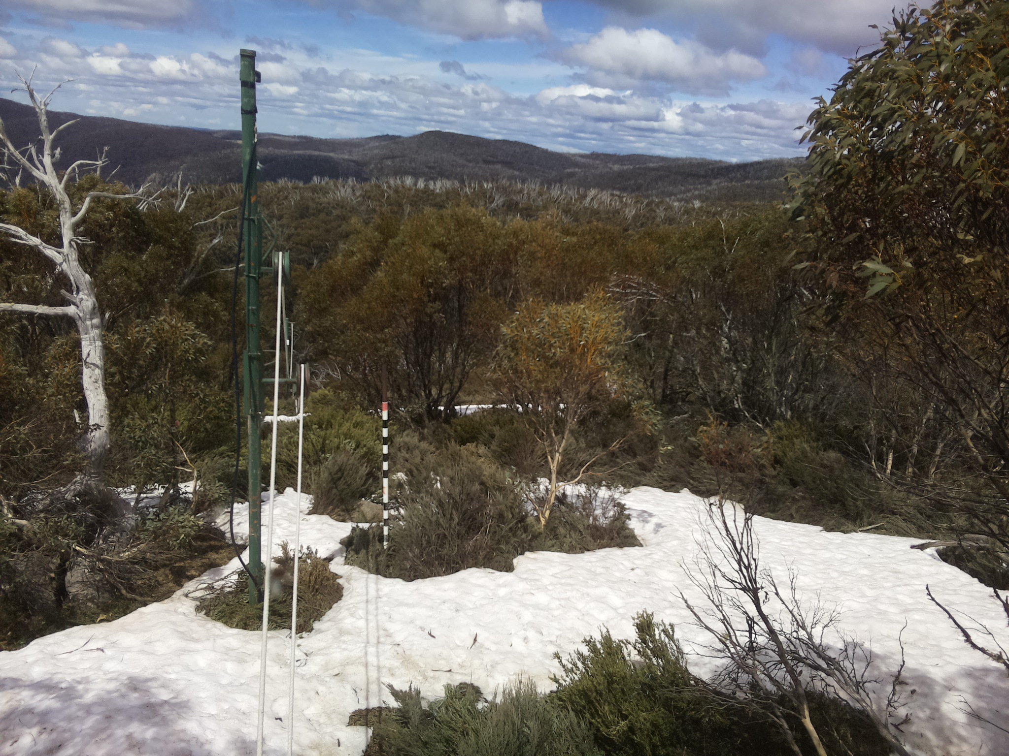 Bogong Web Cam 1:00pm Sunday 12th of October 2025