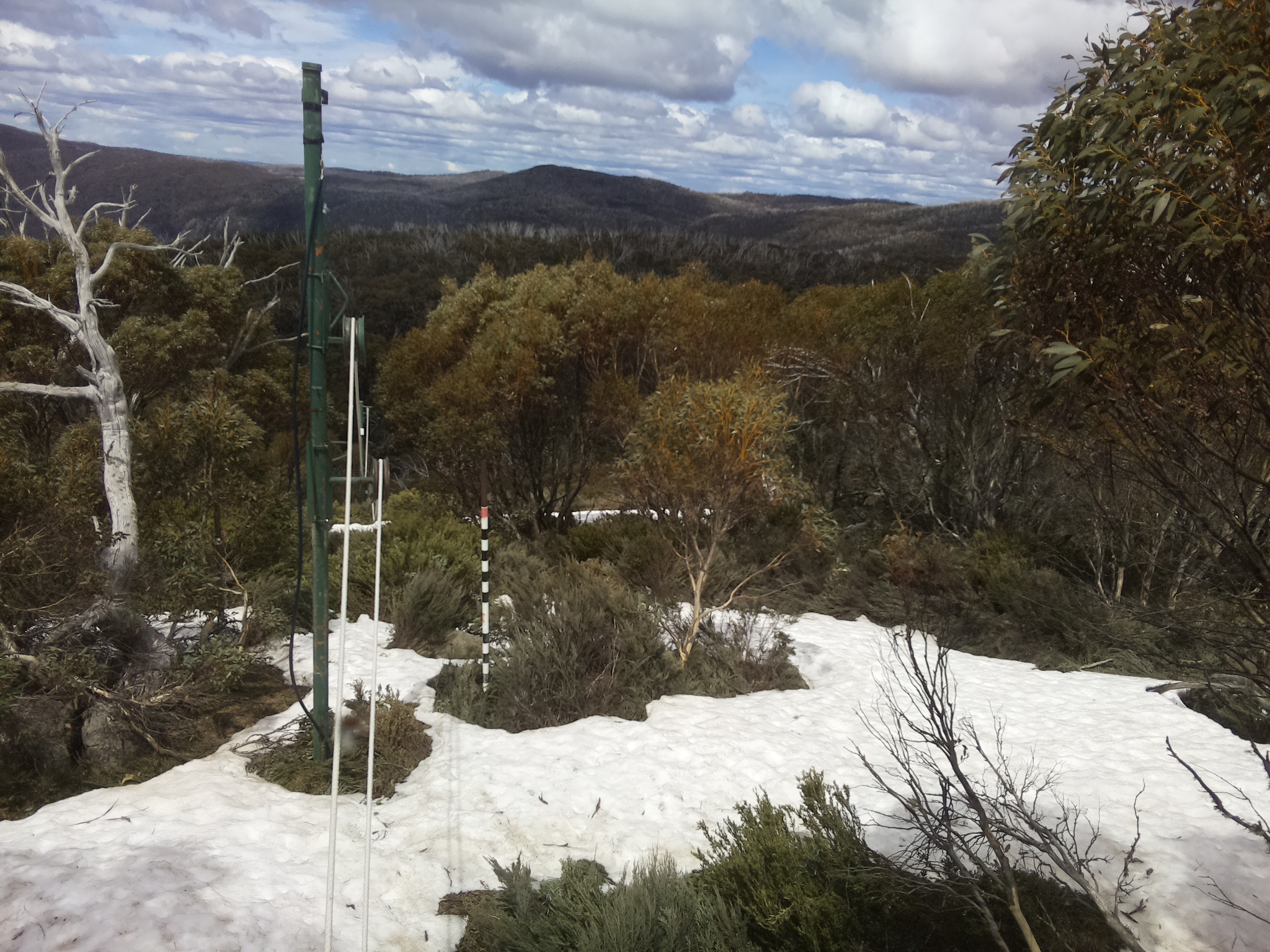Bogong Web Cam 1:10pm Sunday 12th of October 2025