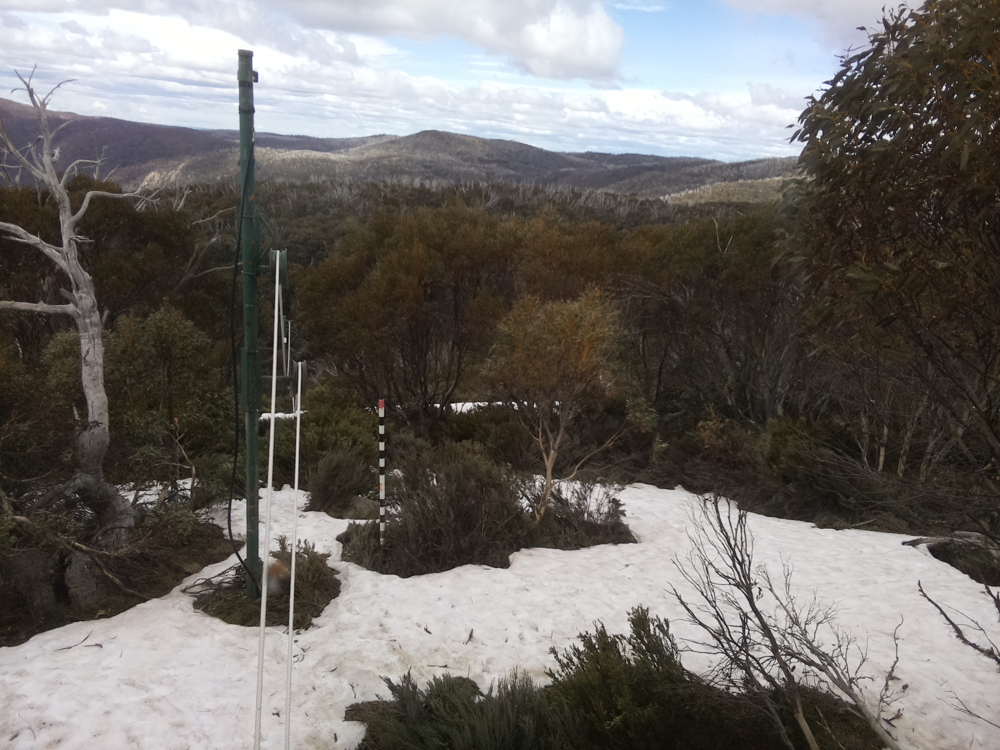 Bogong Web Cam 1:20pm Sunday 12th of October 2025