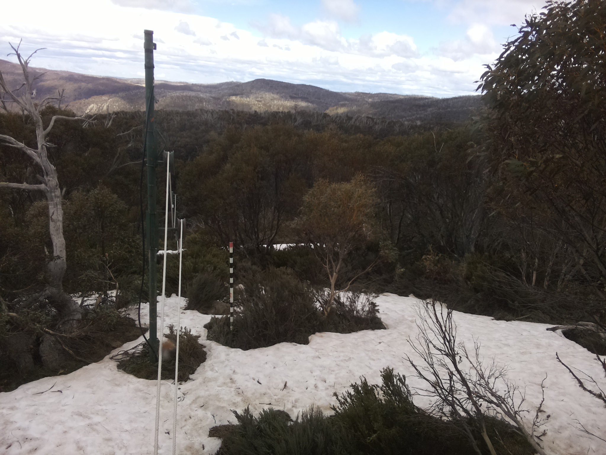 Bogong Web Cam 1:30pm Sunday 12th of October 2025