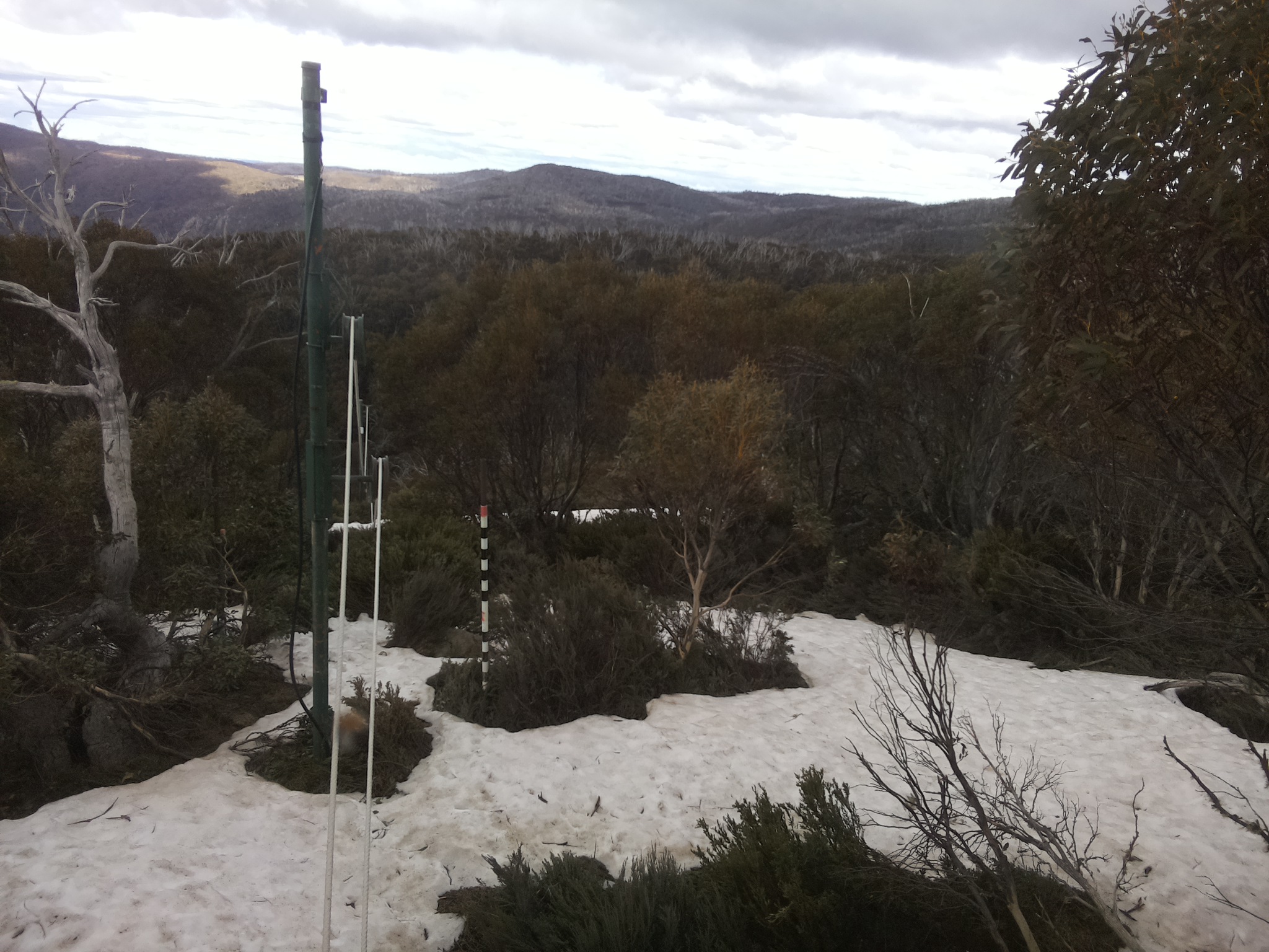 Bogong Web Cam 1:40pm Sunday 12th of October 2025