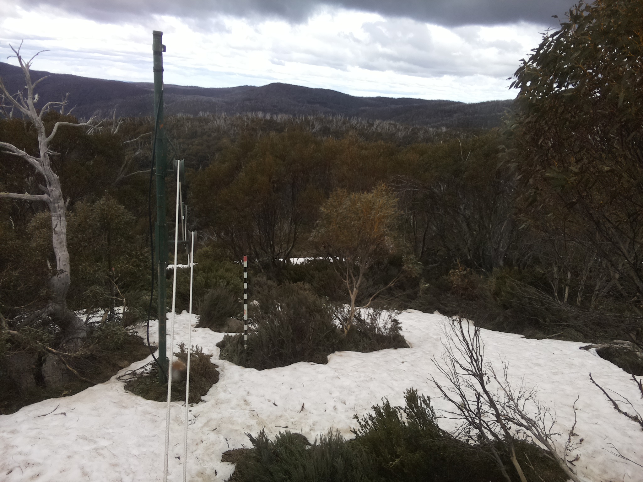 Bogong Web Cam 1:50pm Sunday 12th of October 2025