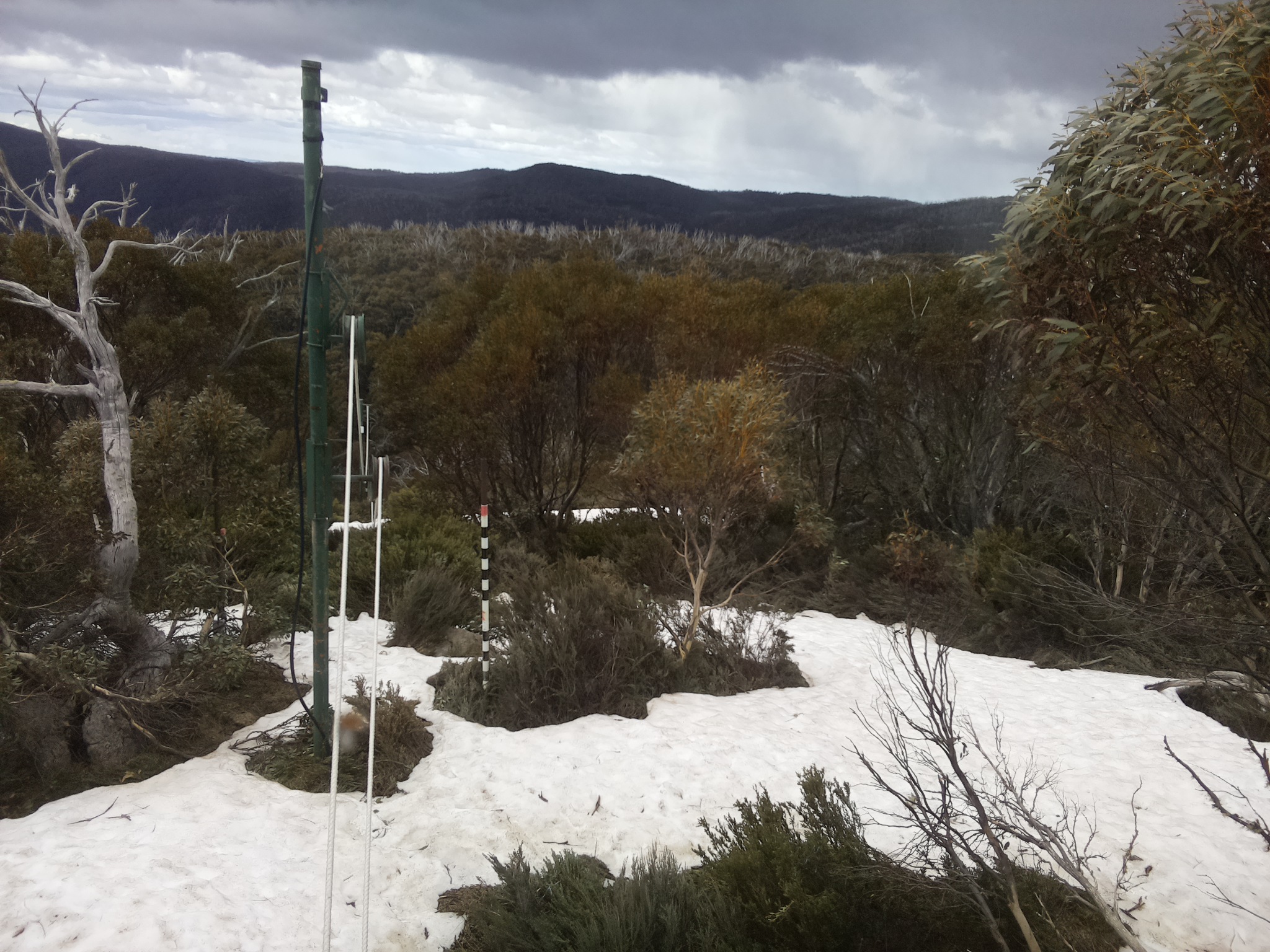Bogong Web Cam 2:00pm Sunday 12th of October 2025