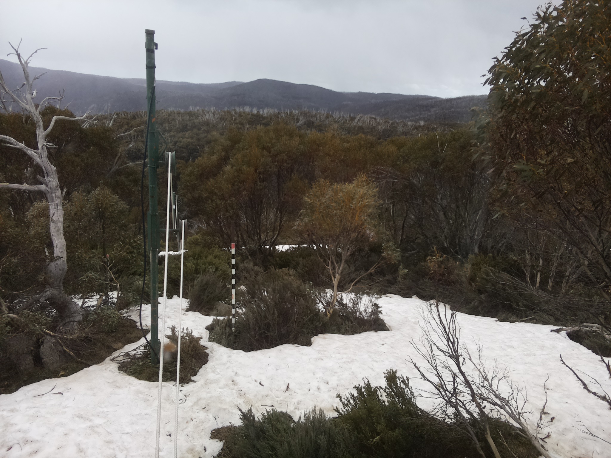 Bogong Web Cam 2:10pm Sunday 12th of October 2025