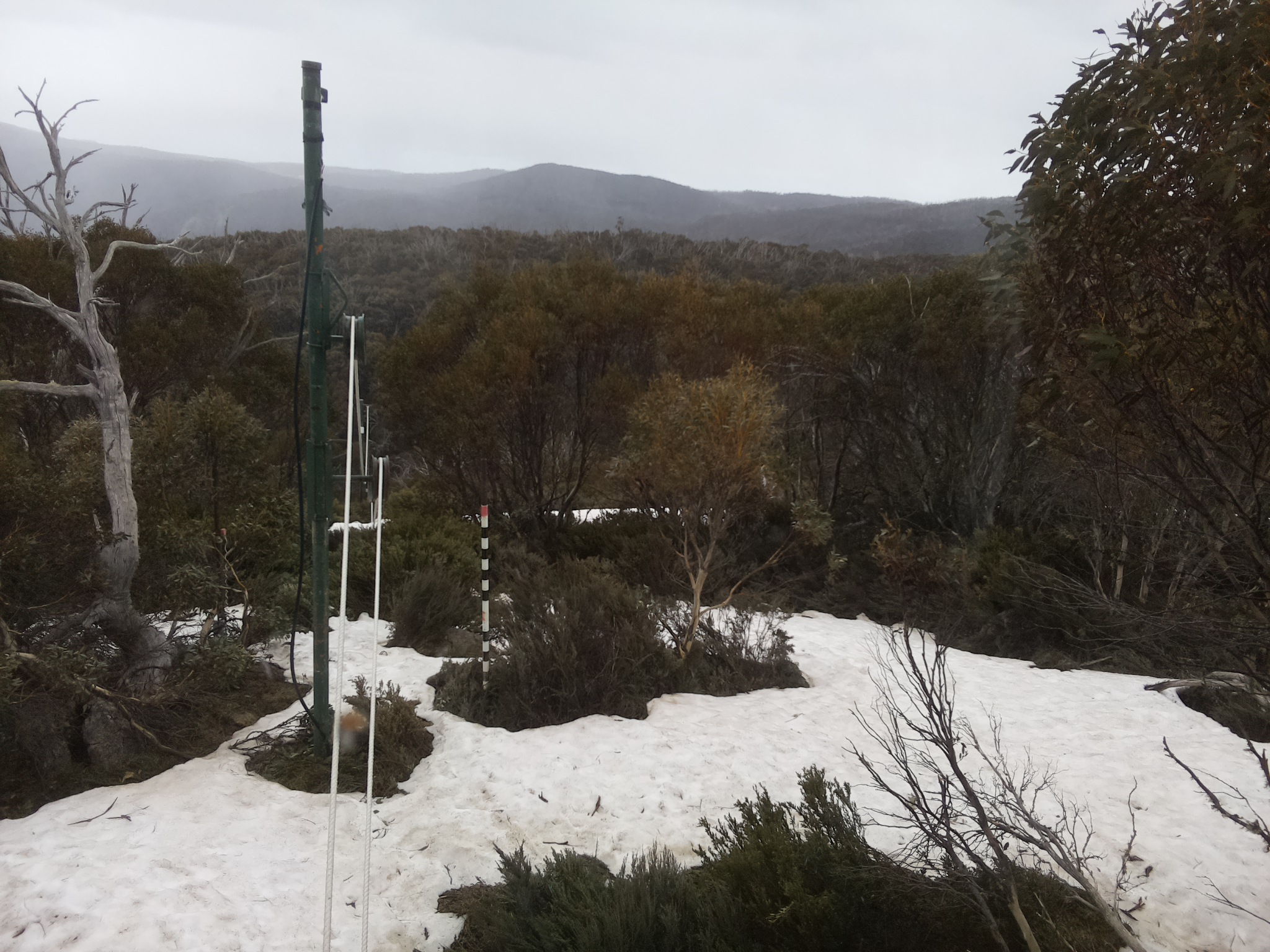 Bogong Web Cam 2:20pm Sunday 12th of October 2025