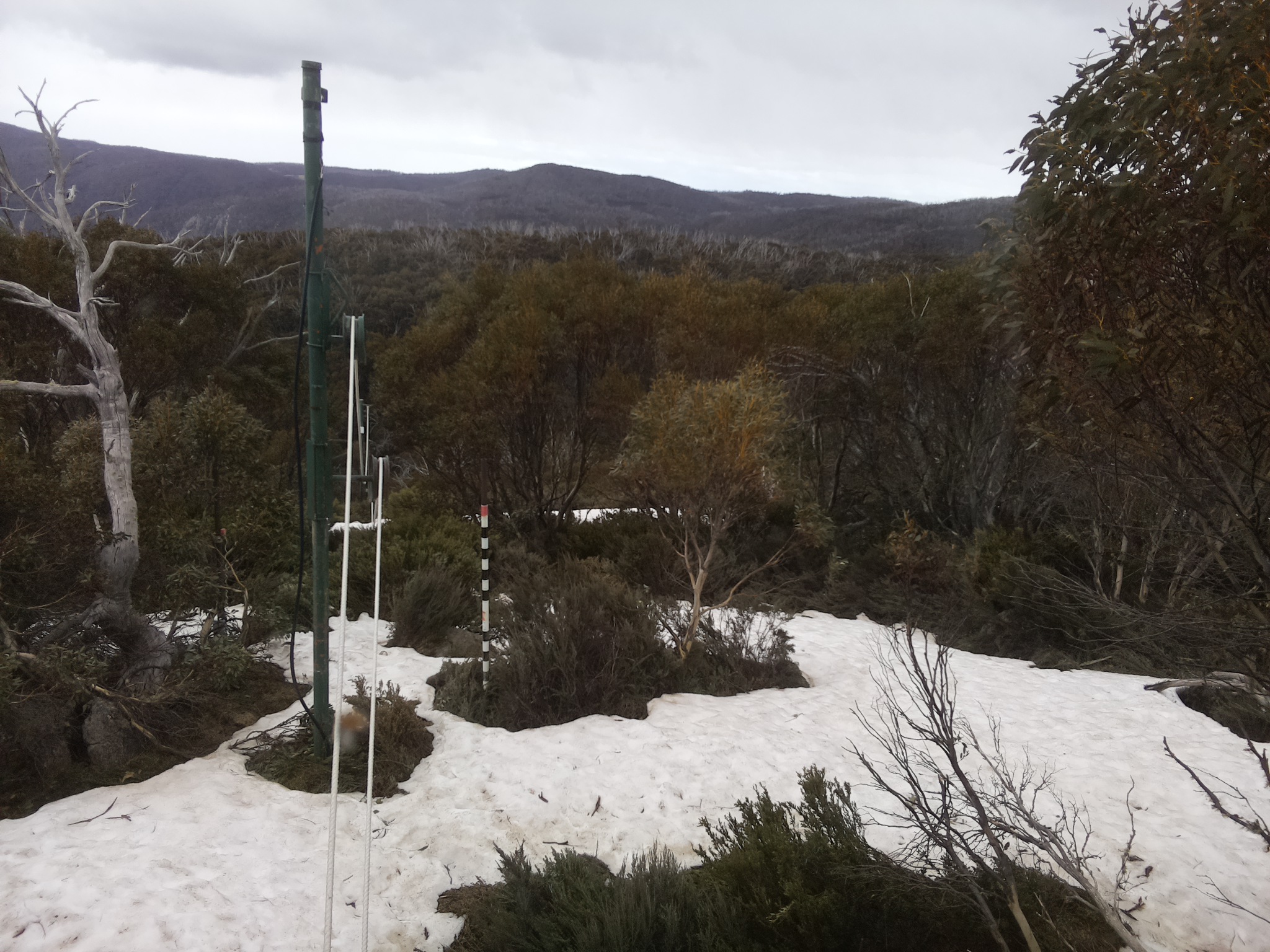 Bogong Web Cam 2:30pm Sunday 12th of October 2025