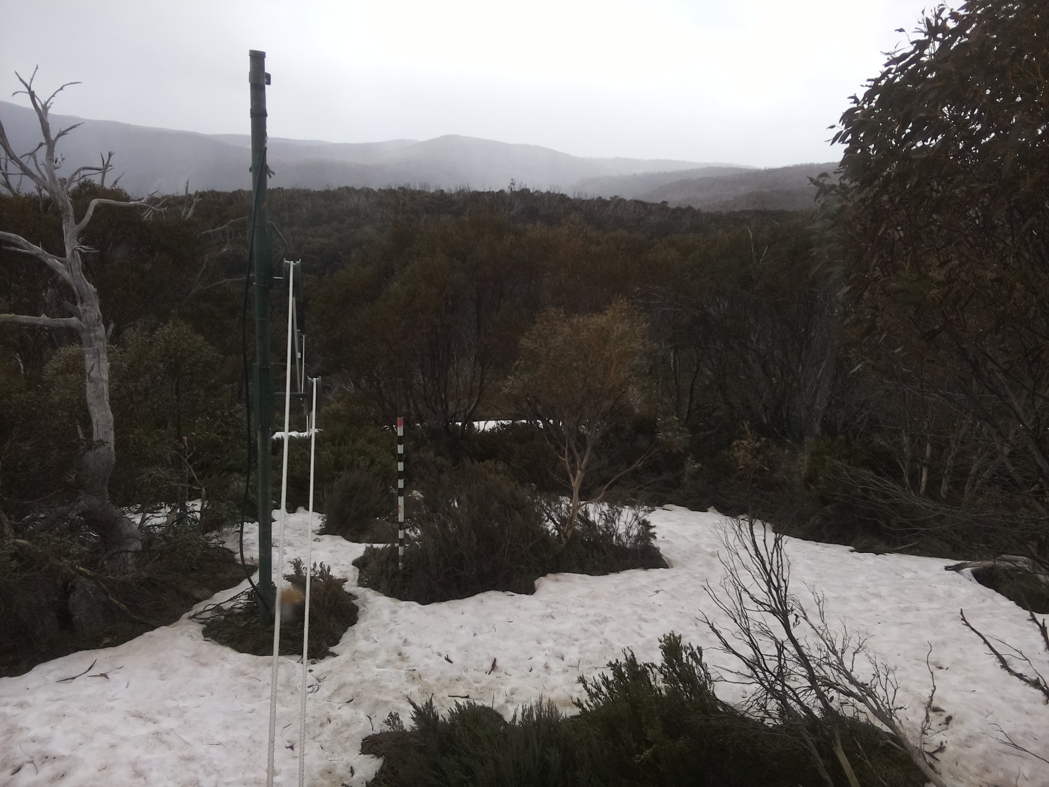 Bogong Web Cam 2:50pm Sunday 12th of October 2025