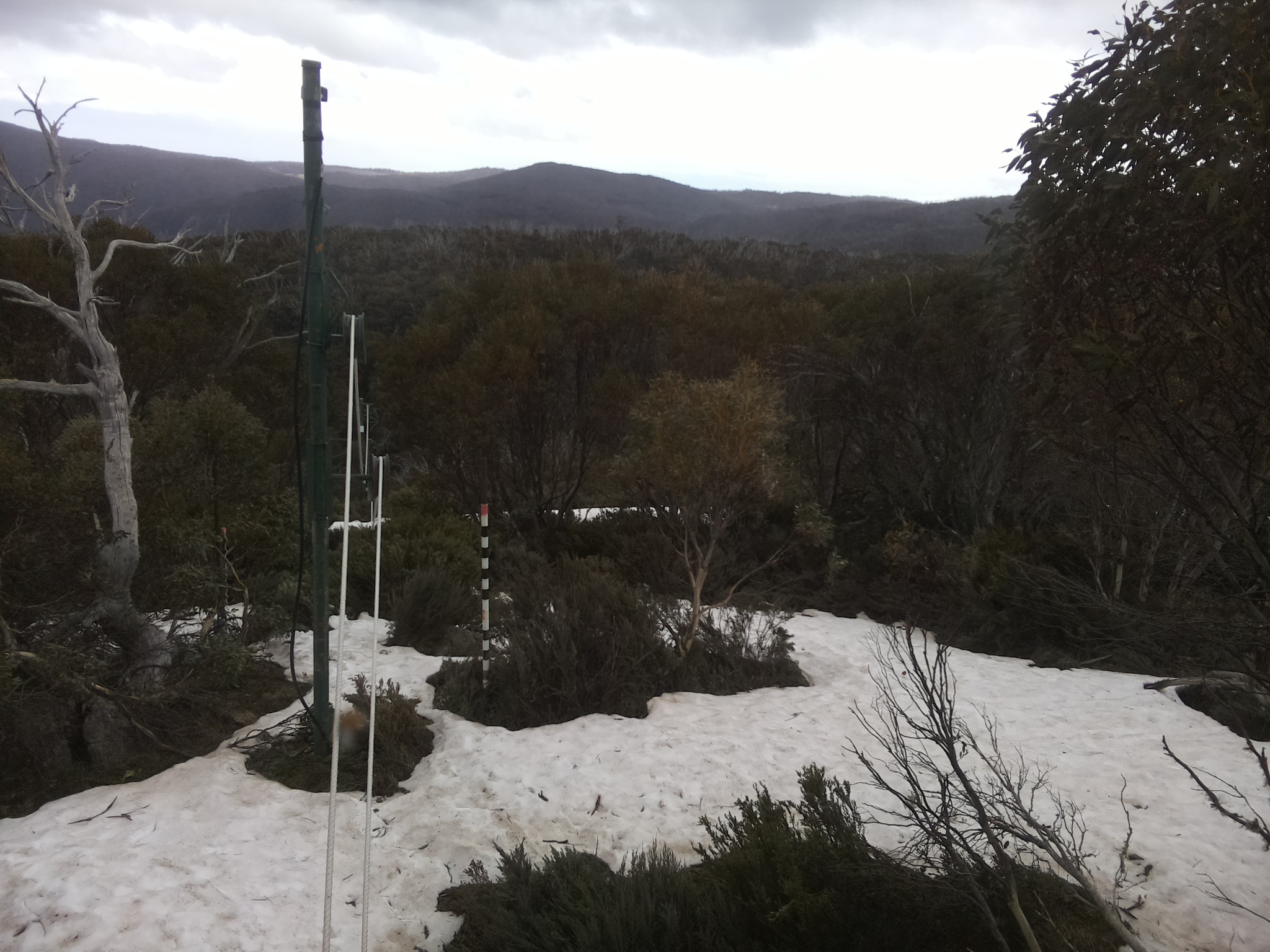 Bogong Web Cam 3:00pm Sunday 12th of October 2025