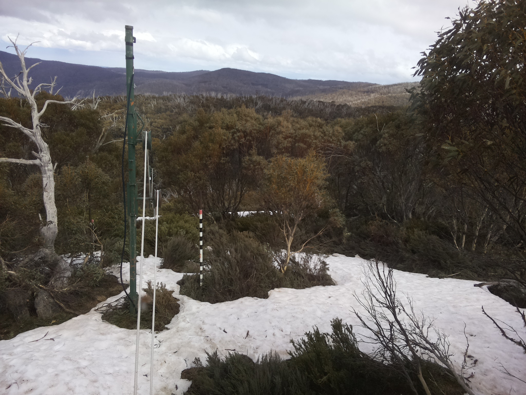 Bogong Web Cam 3:10pm Sunday 12th of October 2025