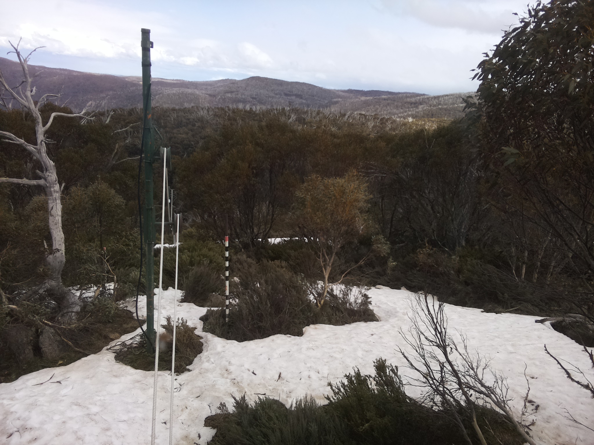 Bogong Web Cam 3:20pm Sunday 12th of October 2025