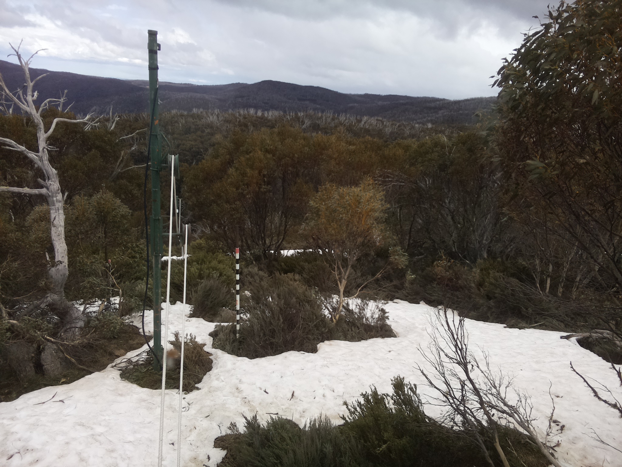 Bogong Web Cam 3:30pm Sunday 12th of October 2025