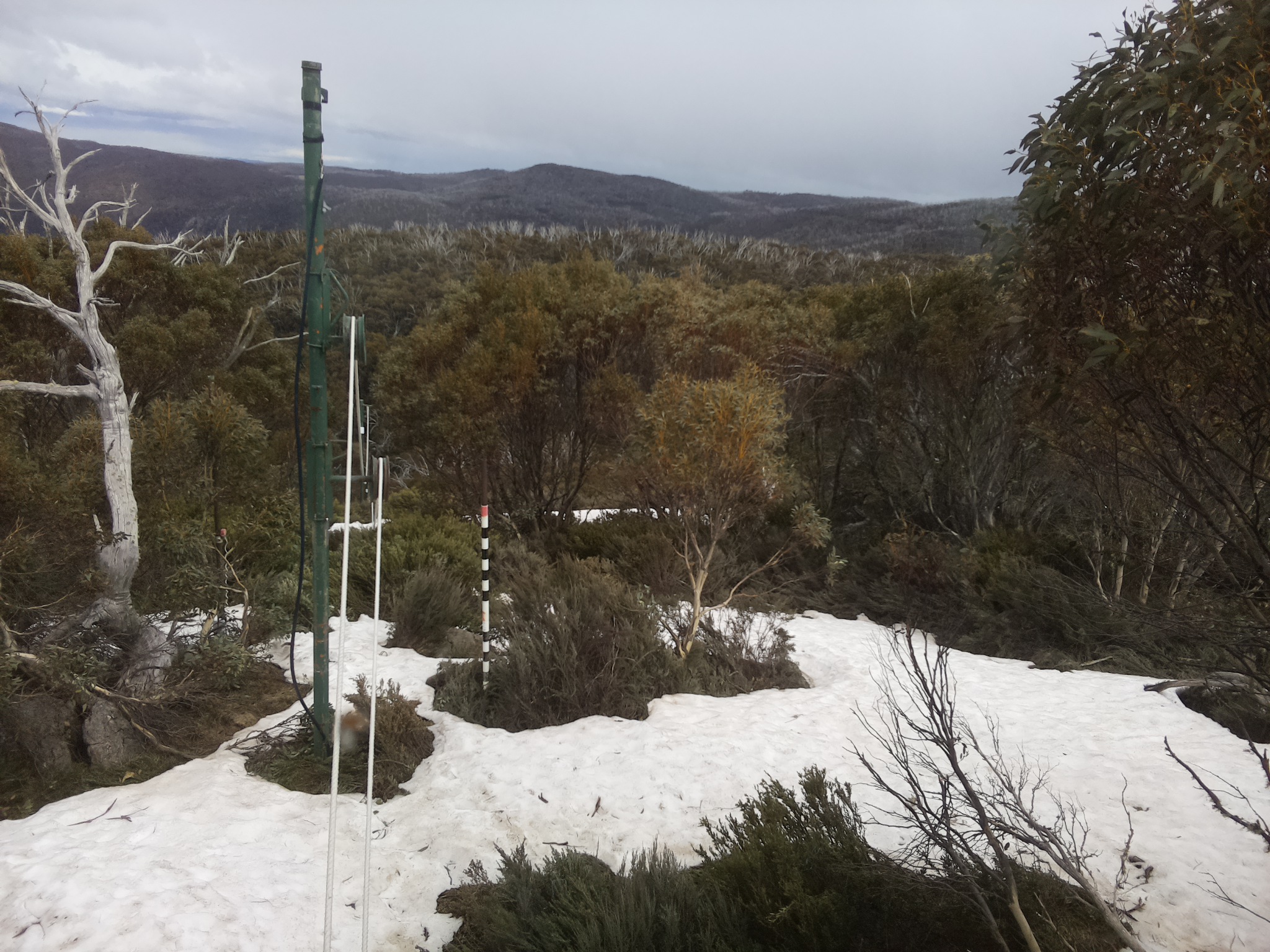 Bogong Web Cam 3:40pm Sunday 12th of October 2025