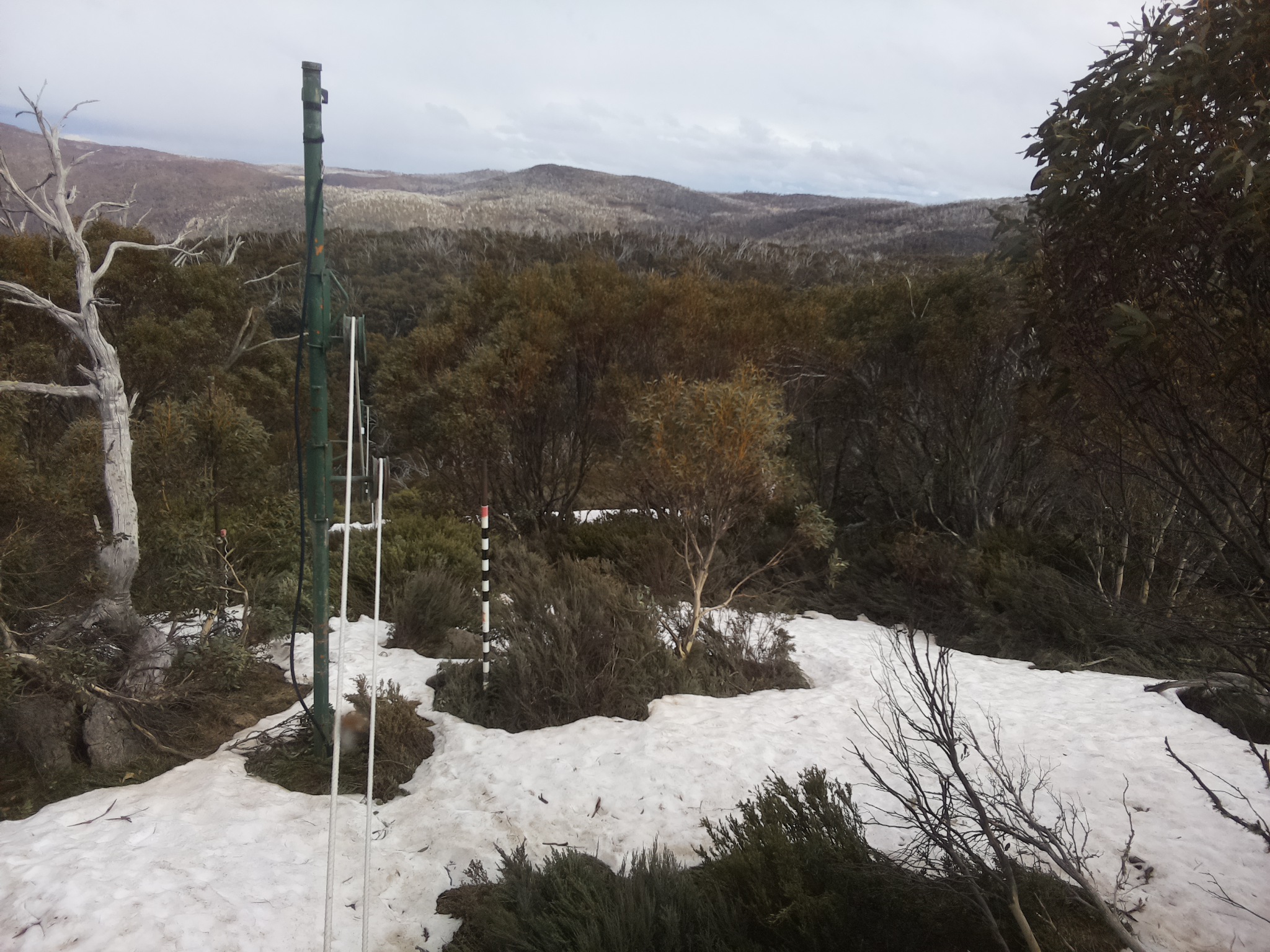 Bogong Web Cam 3:50pm Sunday 12th of October 2025