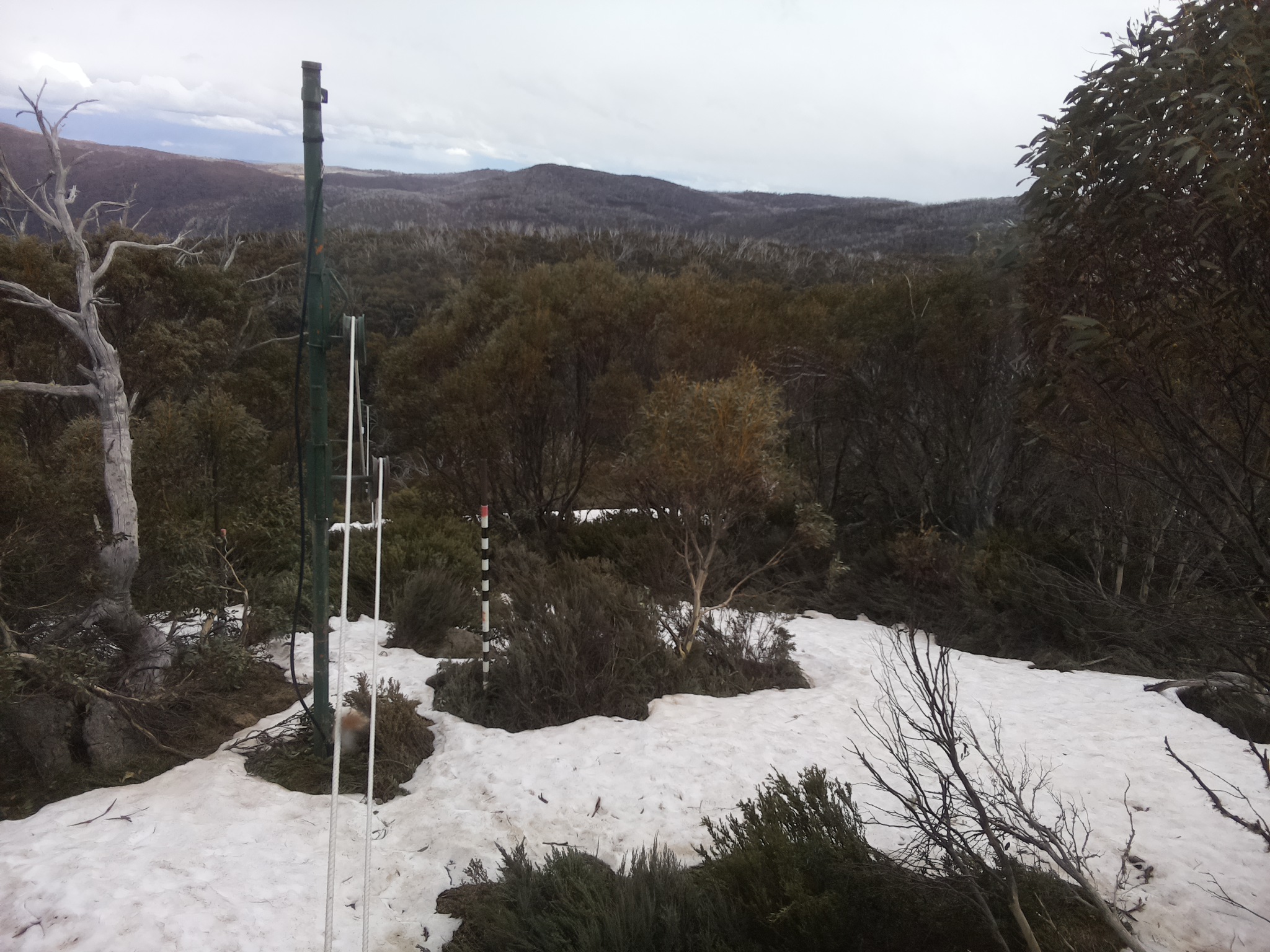 Bogong Web Cam 4:00pm Sunday 12th of October 2025