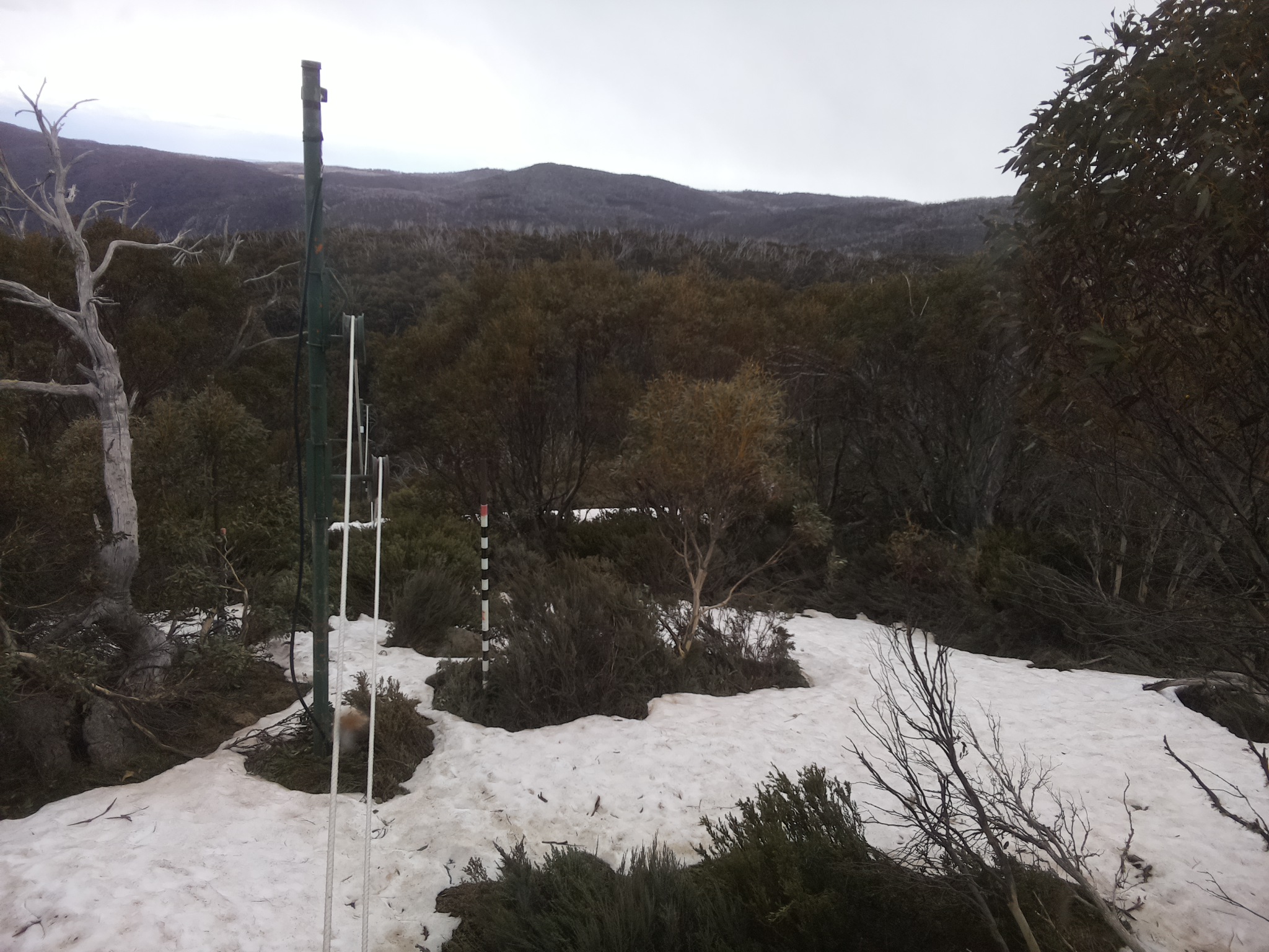 Bogong Web Cam 4:10pm Sunday 12th of October 2025