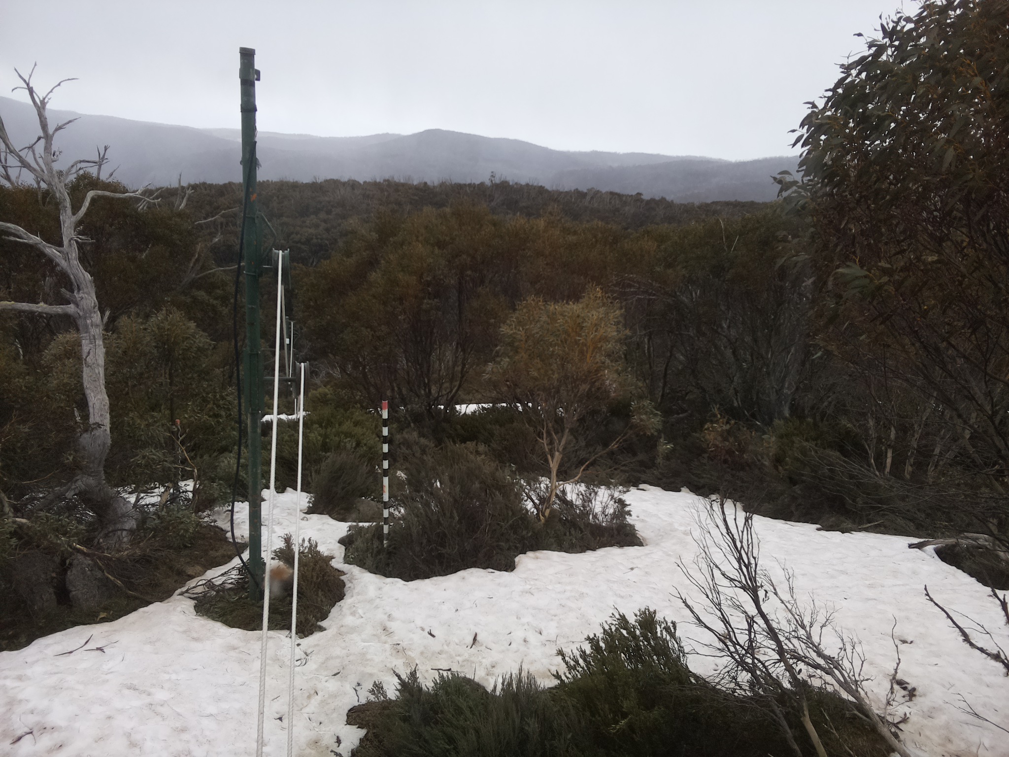 Bogong Web Cam 4:20pm Sunday 12th of October 2025