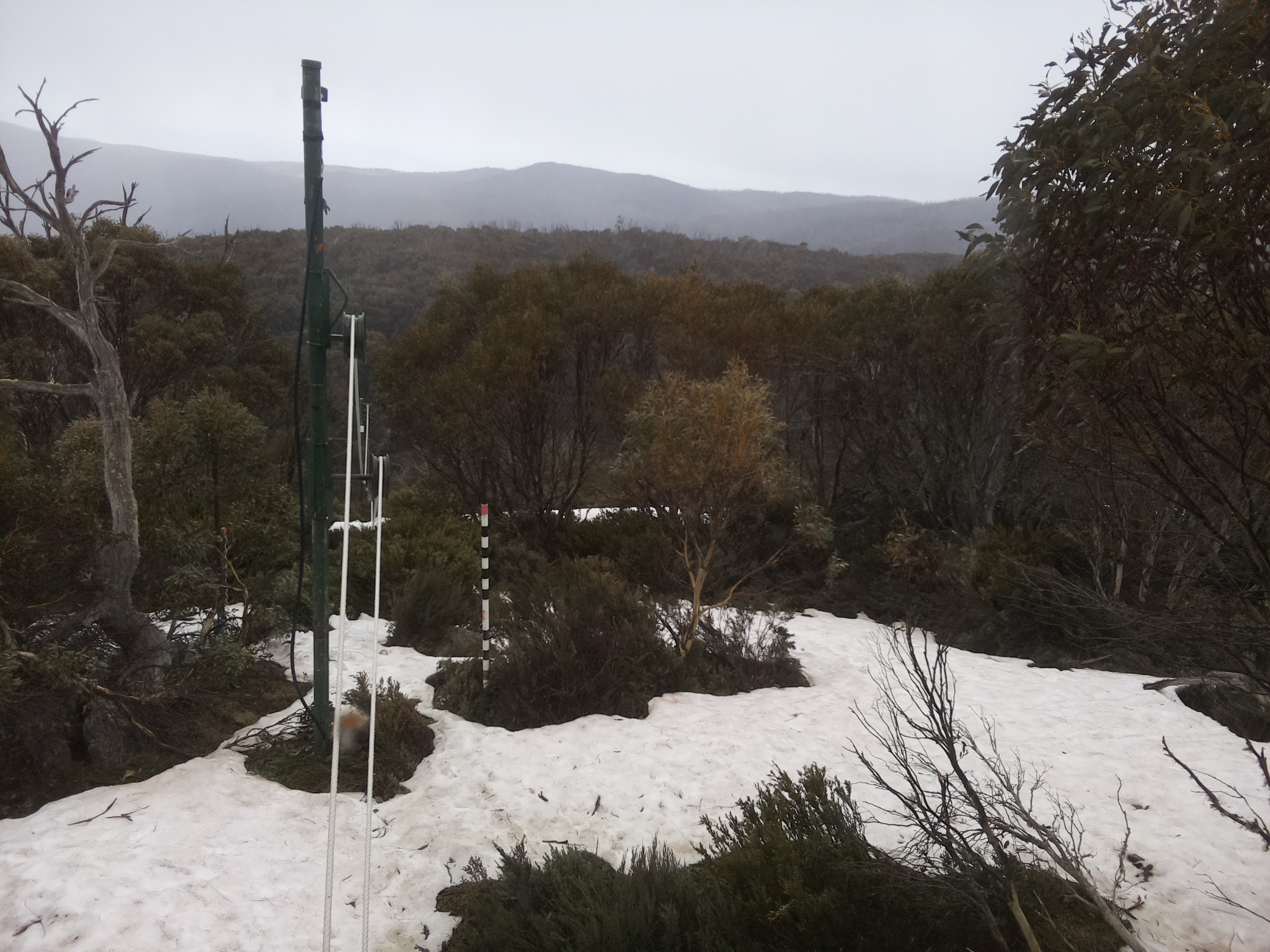 Bogong Web Cam 4:30pm Sunday 12th of October 2025