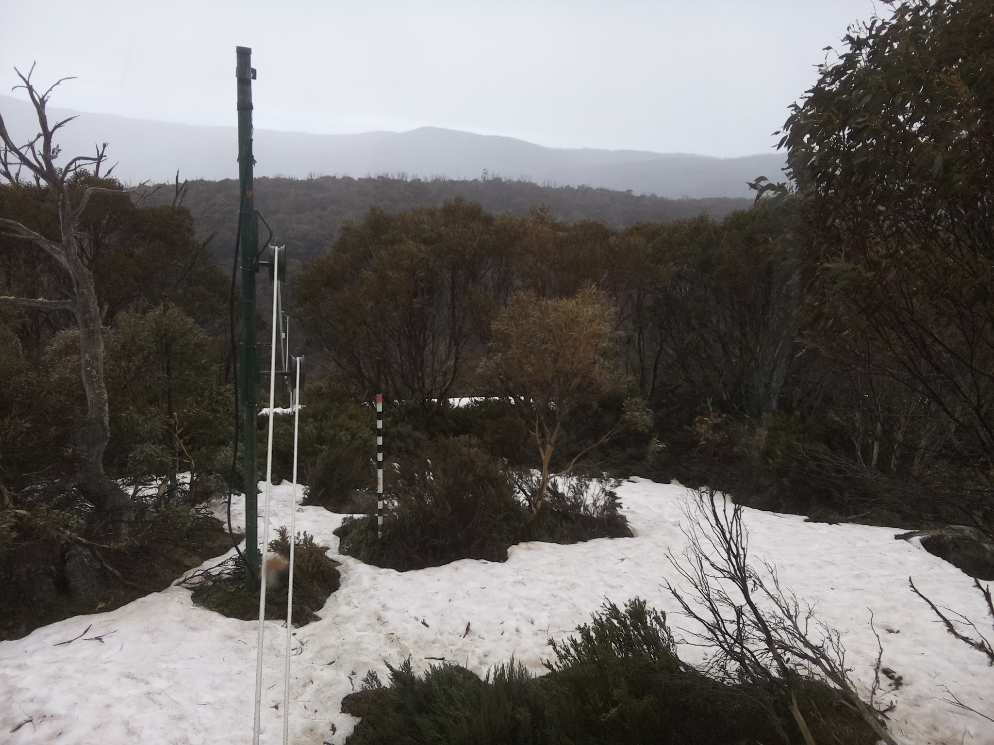 Bogong Web Cam 4:40pm Sunday 12th of October 2025