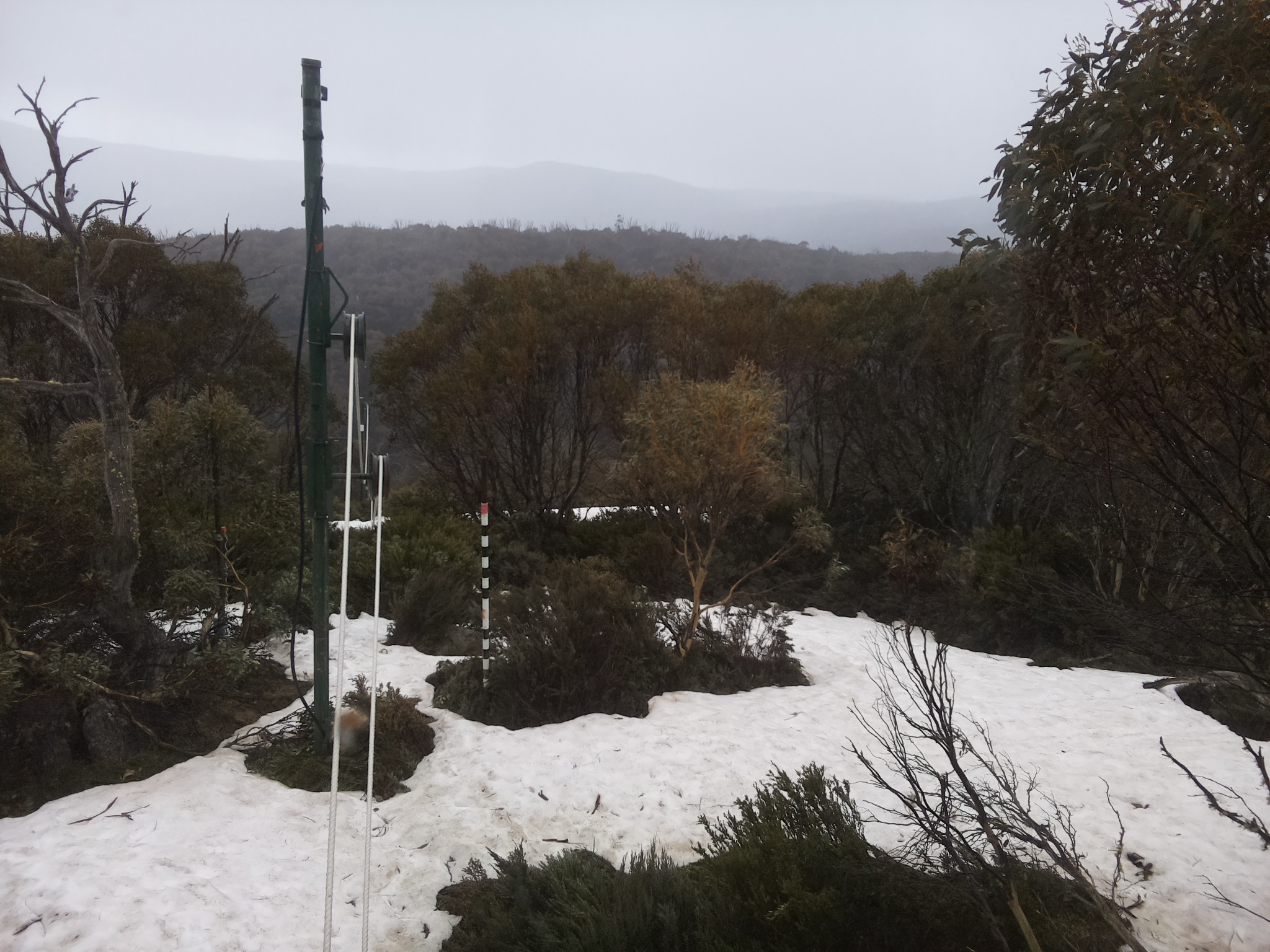 Bogong Web Cam 4:50pm Sunday 12th of October 2025