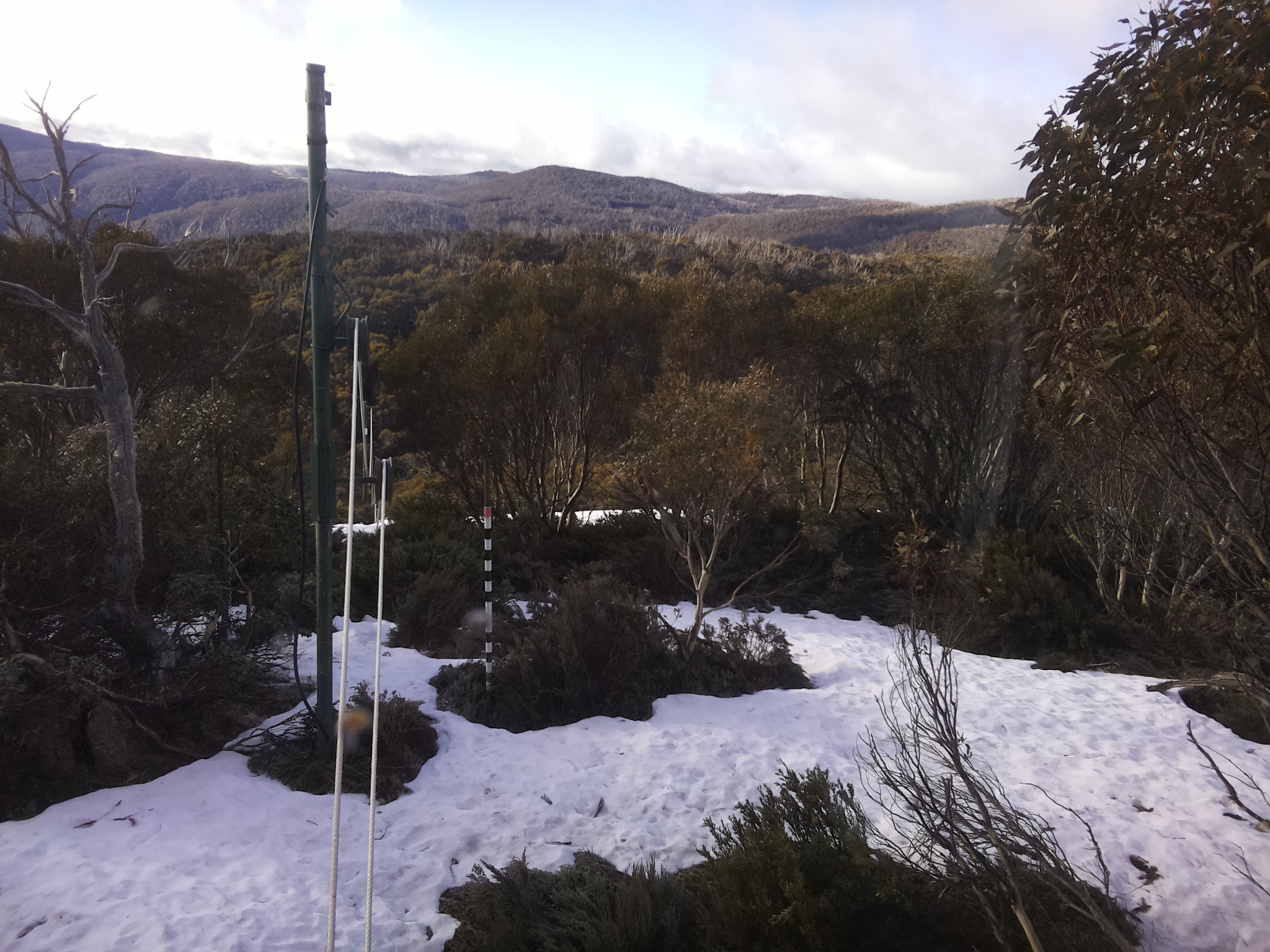 Bogong Web Cam 8:00am Monday 13th of October 2025