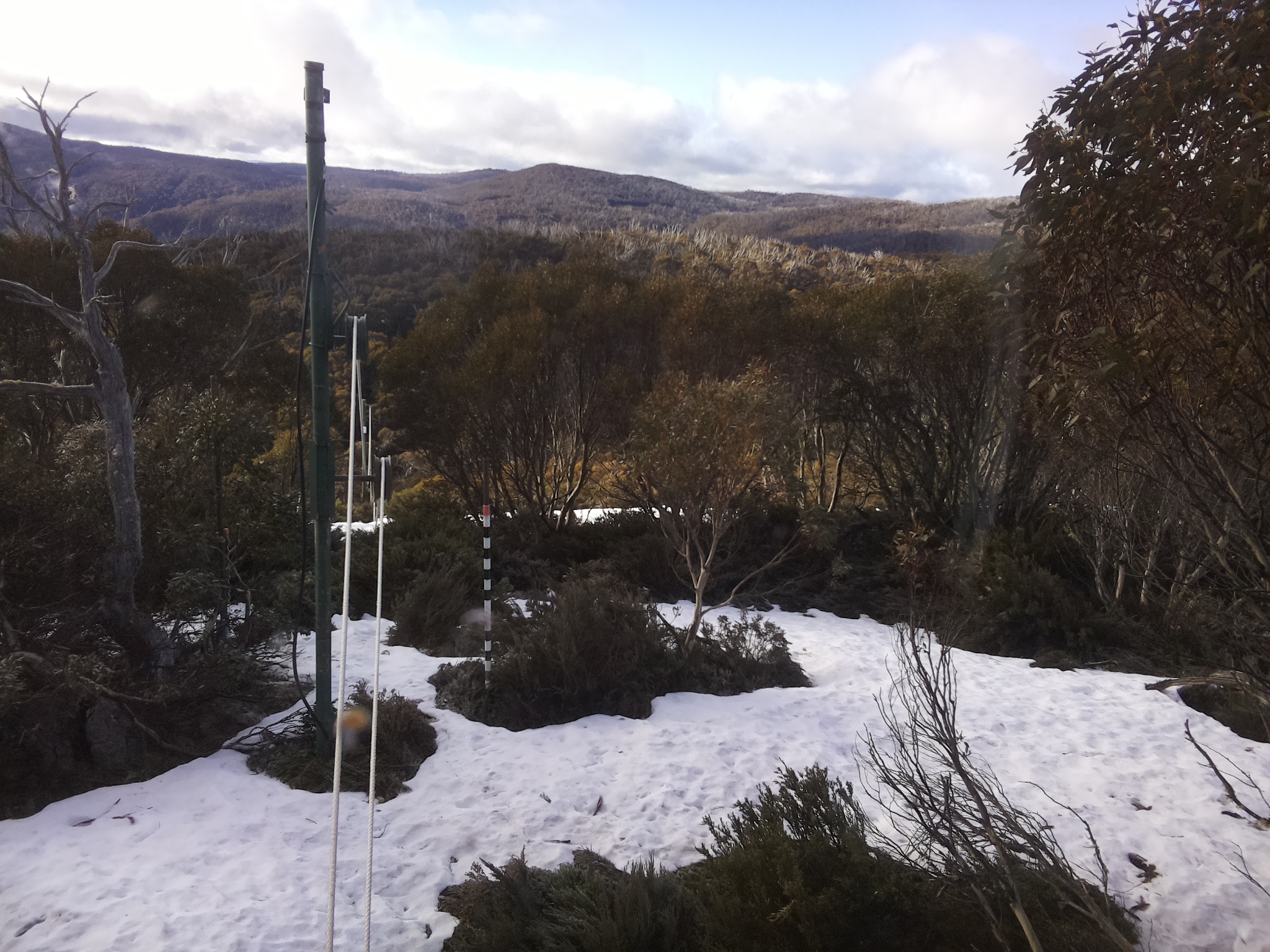 Bogong Web Cam 8:10am Monday 13th of October 2025