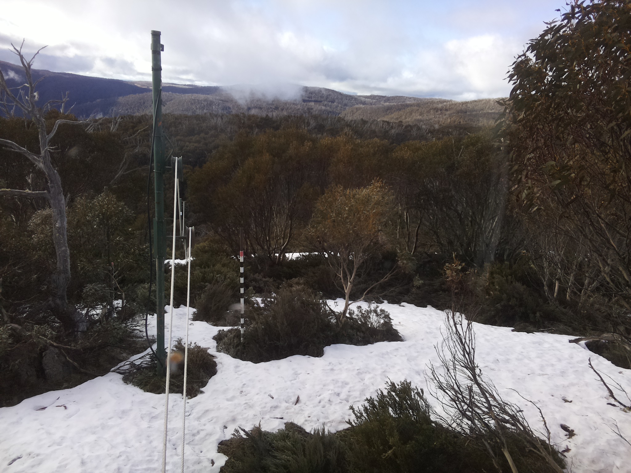 Bogong Web Cam 8:20am Monday 13th of October 2025
