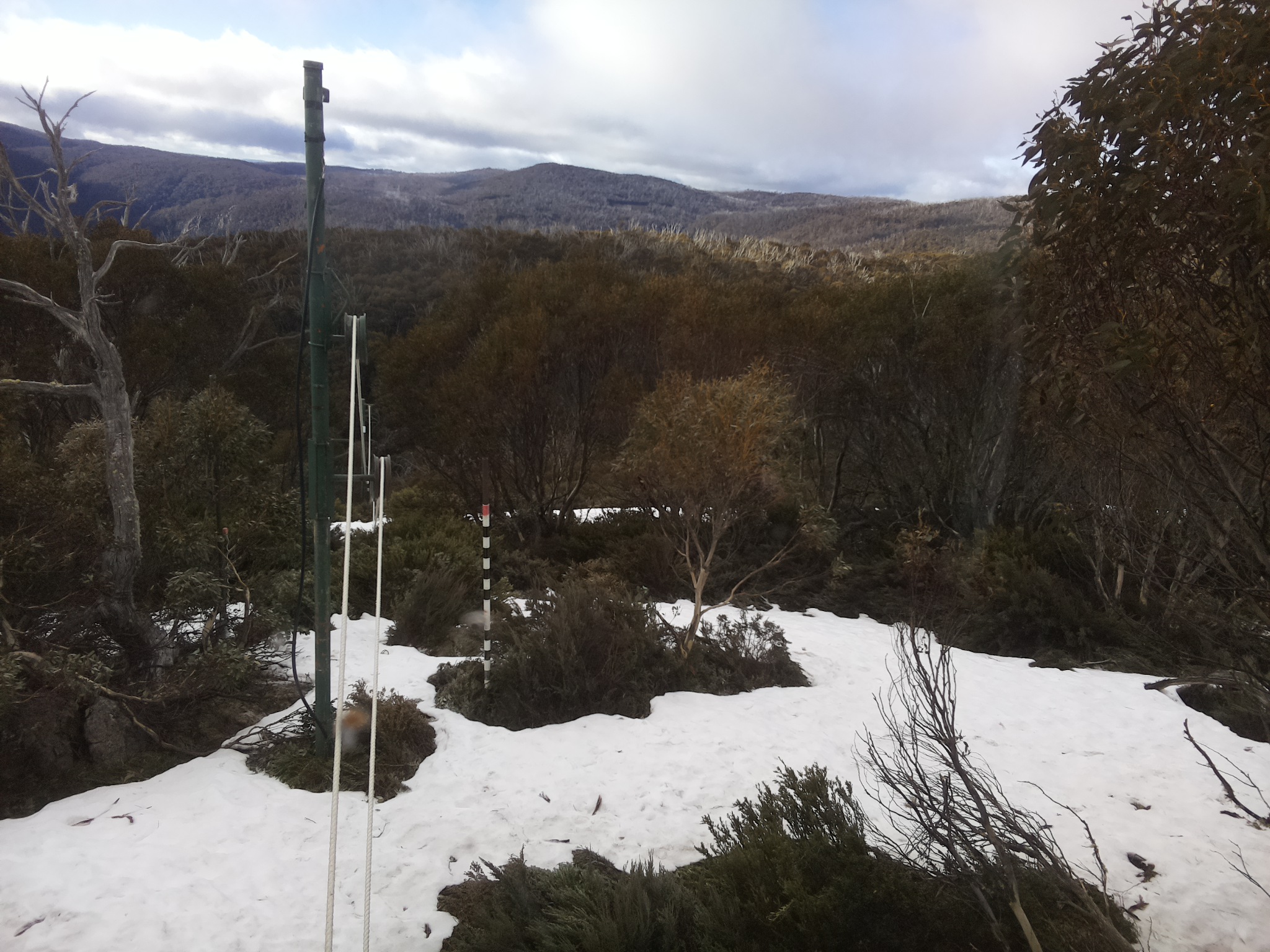 Bogong Web Cam 8:30am Monday 13th of October 2025