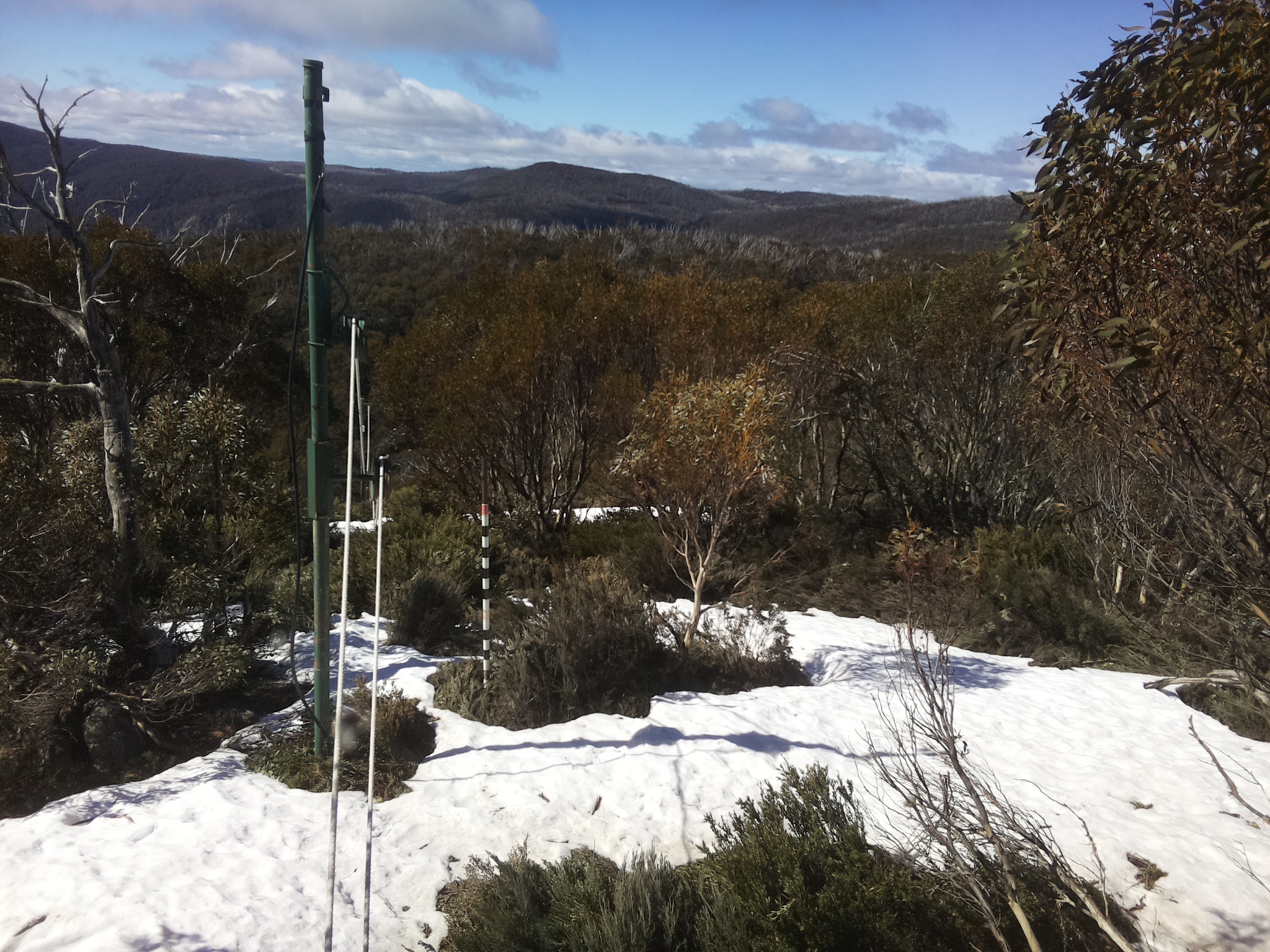 Bogong Web Cam 10:20am Monday 13th of October 2025